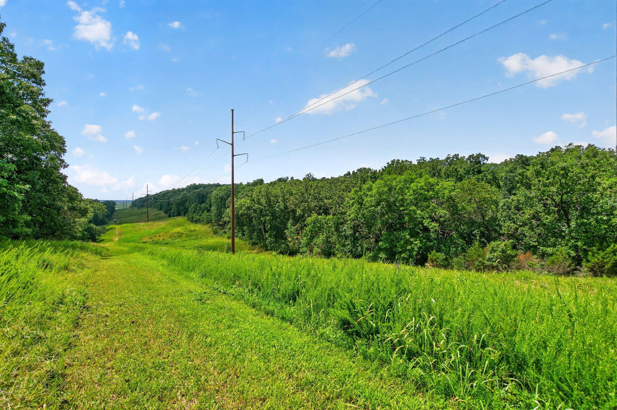 Photo 10 - Land for sale – 41  Fieldcrest Lane  Strafford, MO