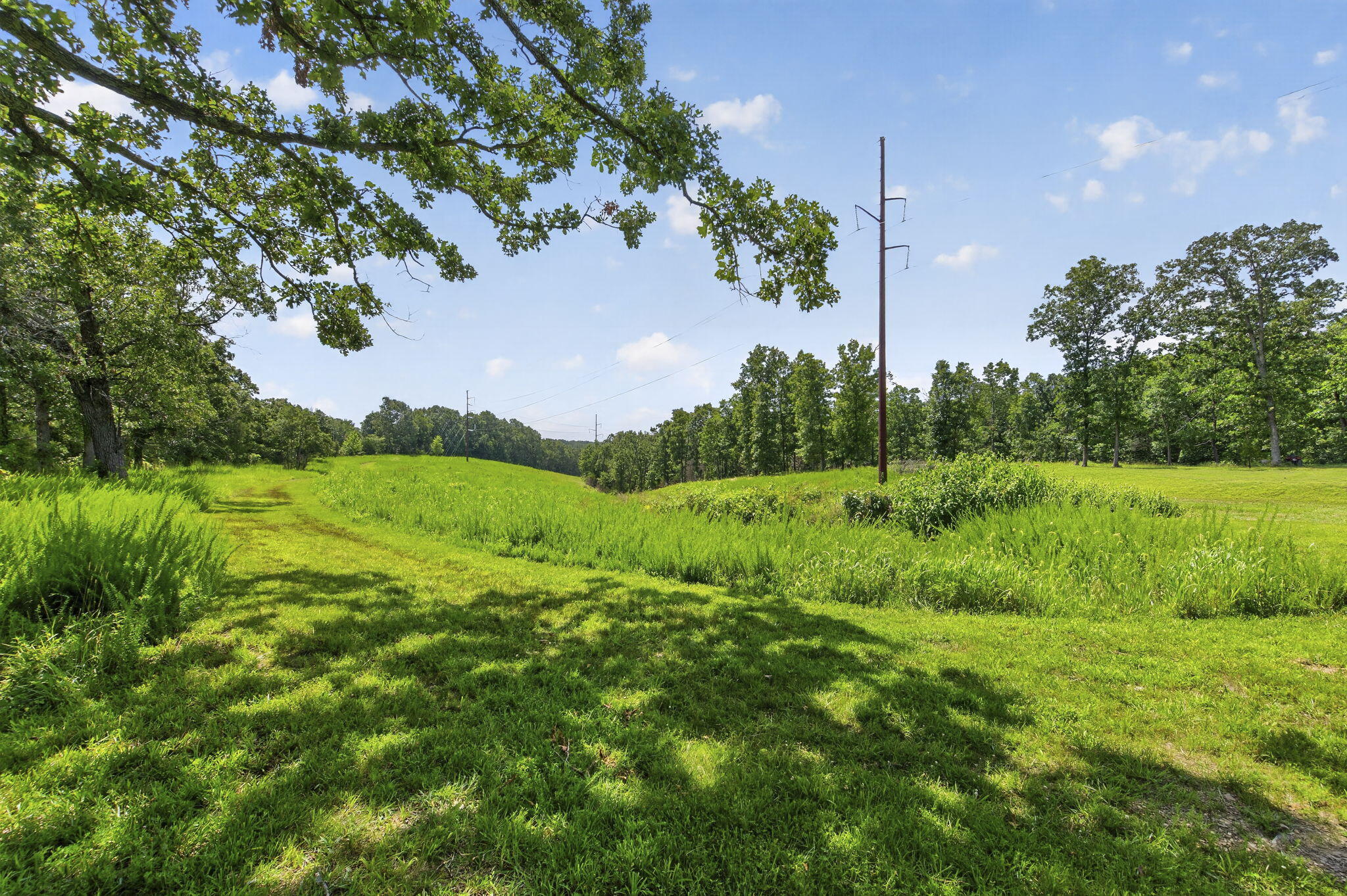 Photo 11 - Land for sale – 41  Fieldcrest Lane  Strafford, MO