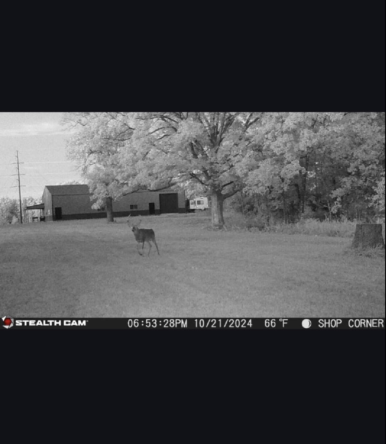 Photo 17 - Land for sale – 41  Fieldcrest Lane  Strafford, MO