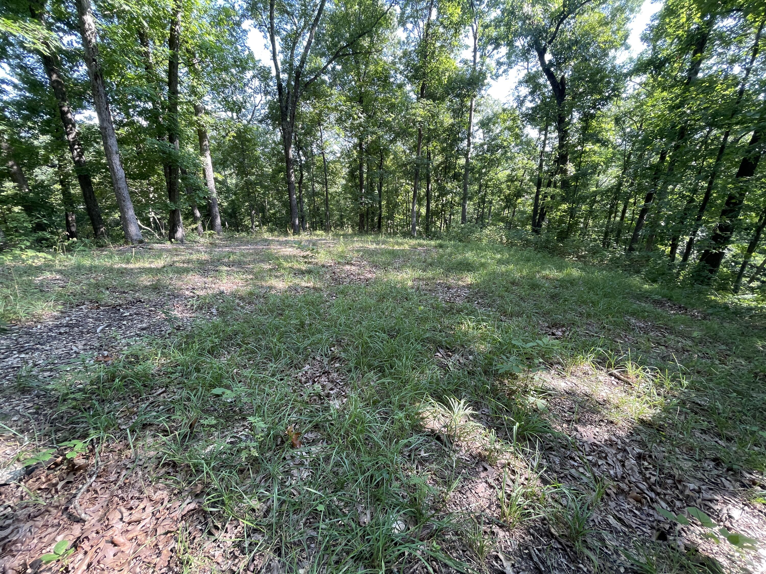 Photo 19 - Residential for sale – 25470  State Highway Uu   Washburn, MO
