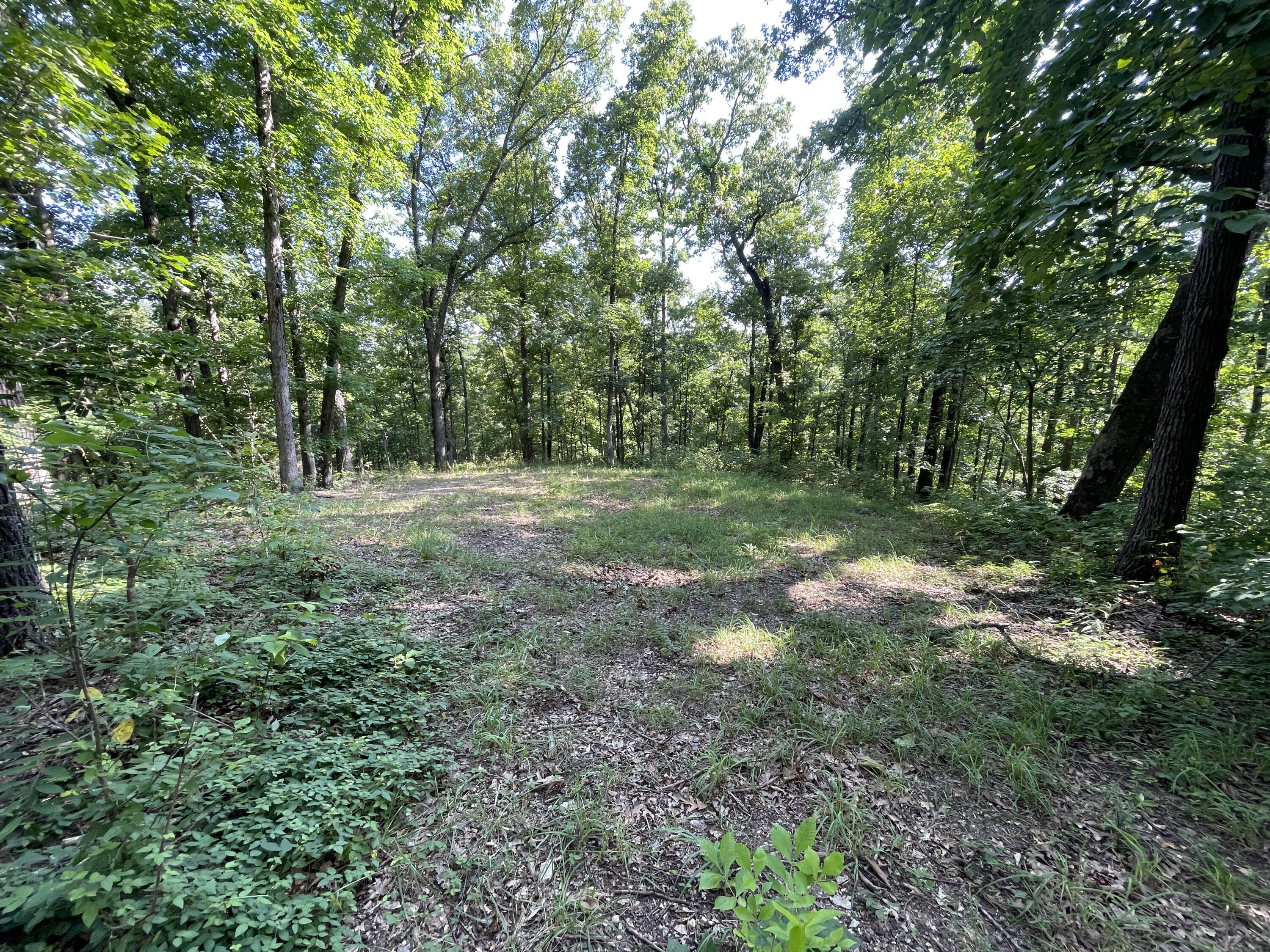 Photo 17 - Residential for sale – 25470  State Highway Uu   Washburn, MO