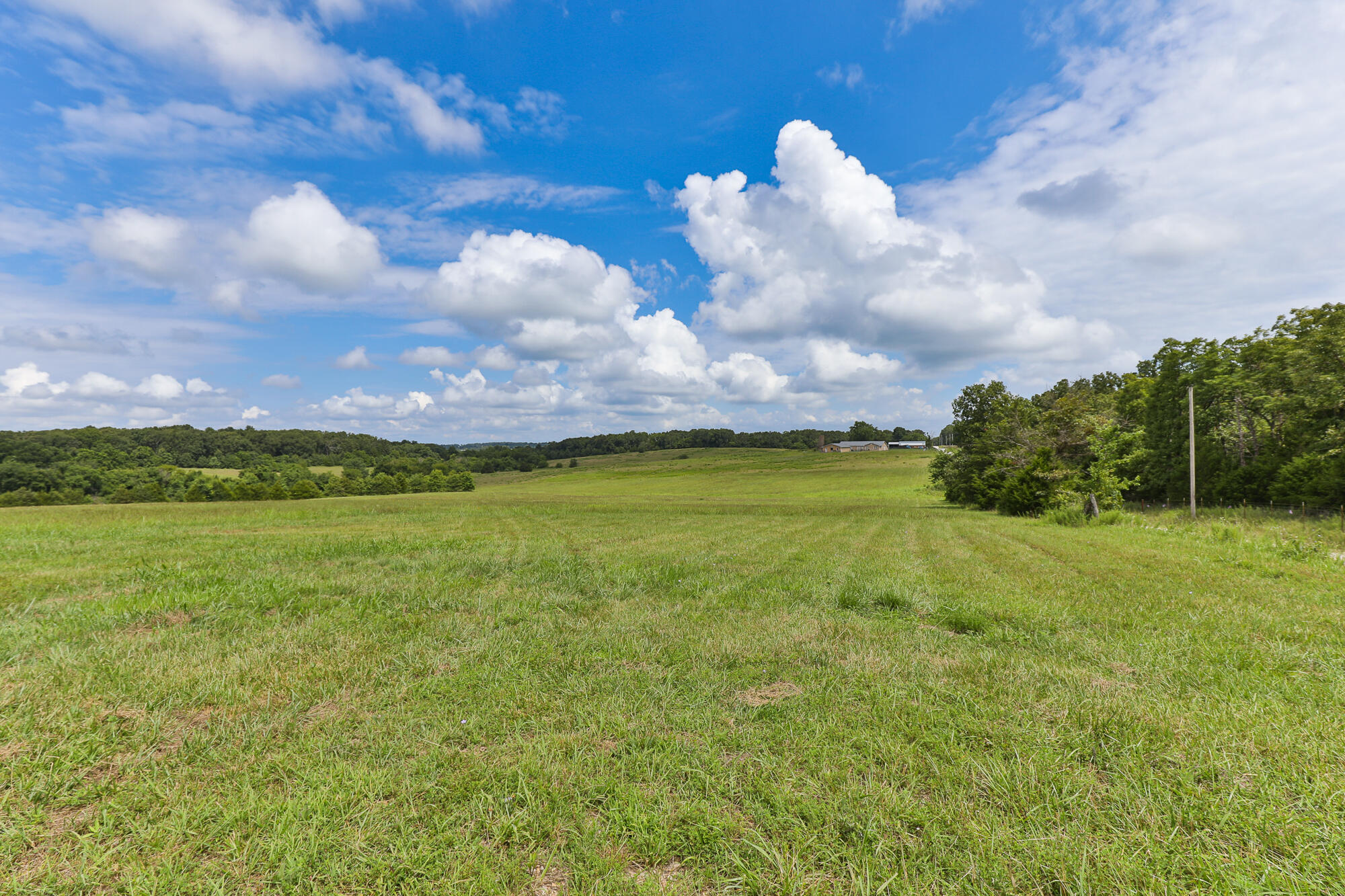 Photo 12 - Land for sale – 125  Eastgate Road  Elkland, MO