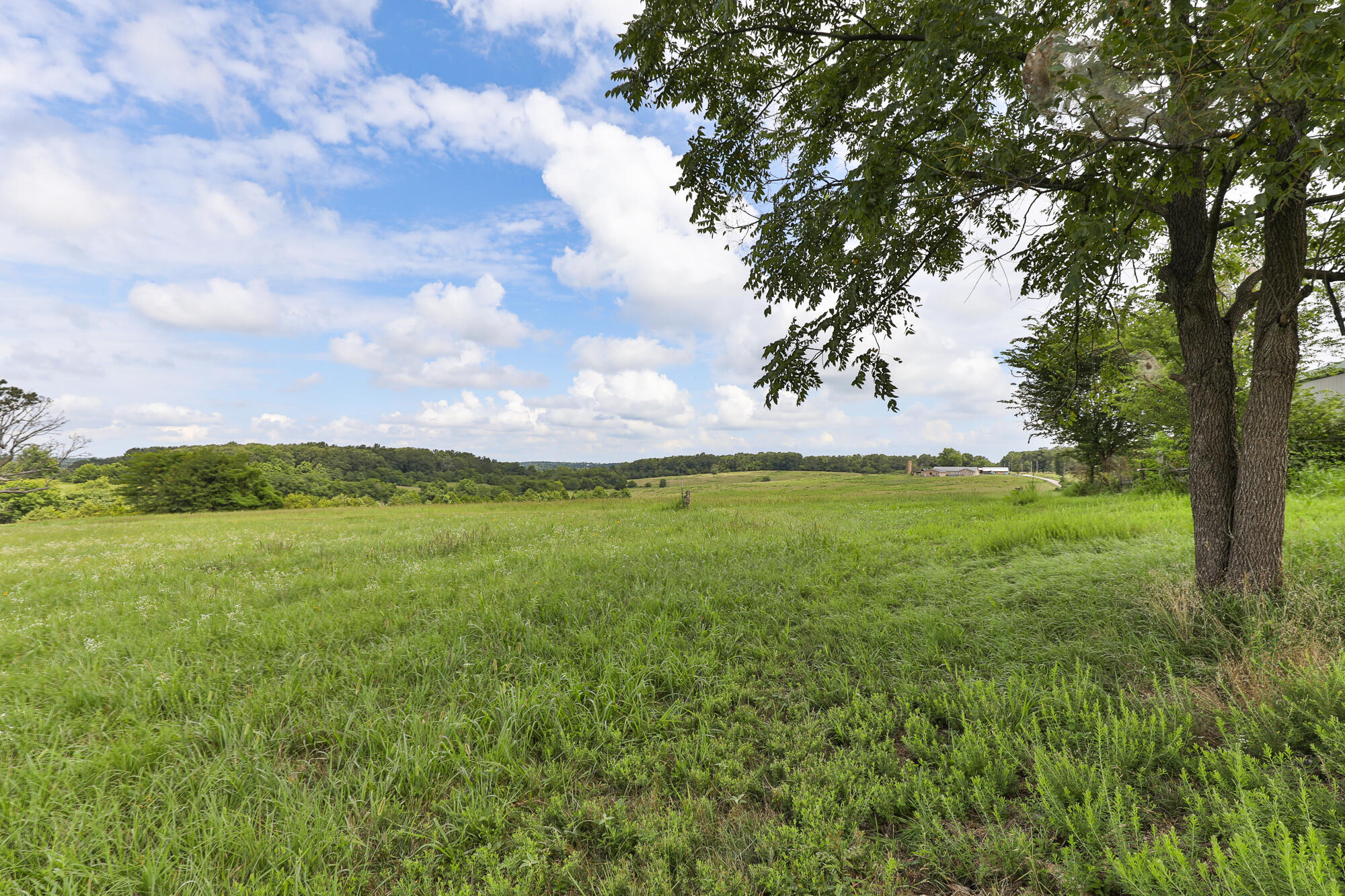 Photo 6 - Land for sale – 125  Eastgate Road  Elkland, MO