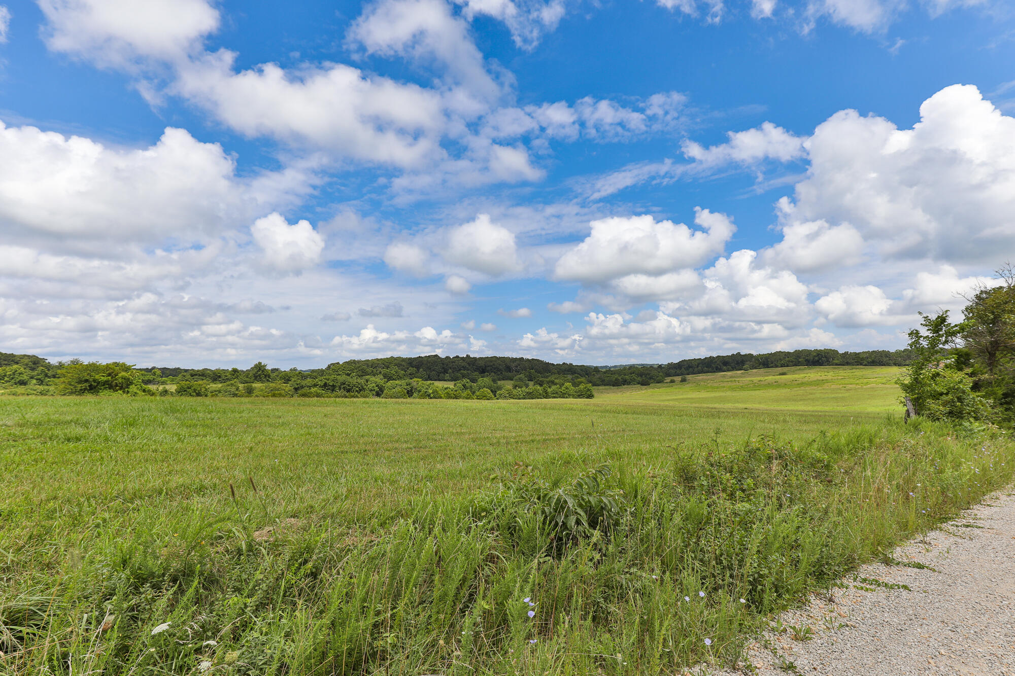 Photo 11 - Land for sale – 125  Eastgate Road  Elkland, MO