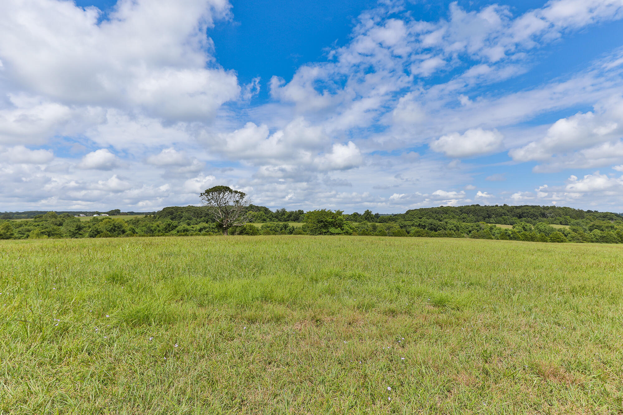 Photo 10 - Land for sale – 125  Eastgate Road  Elkland, MO