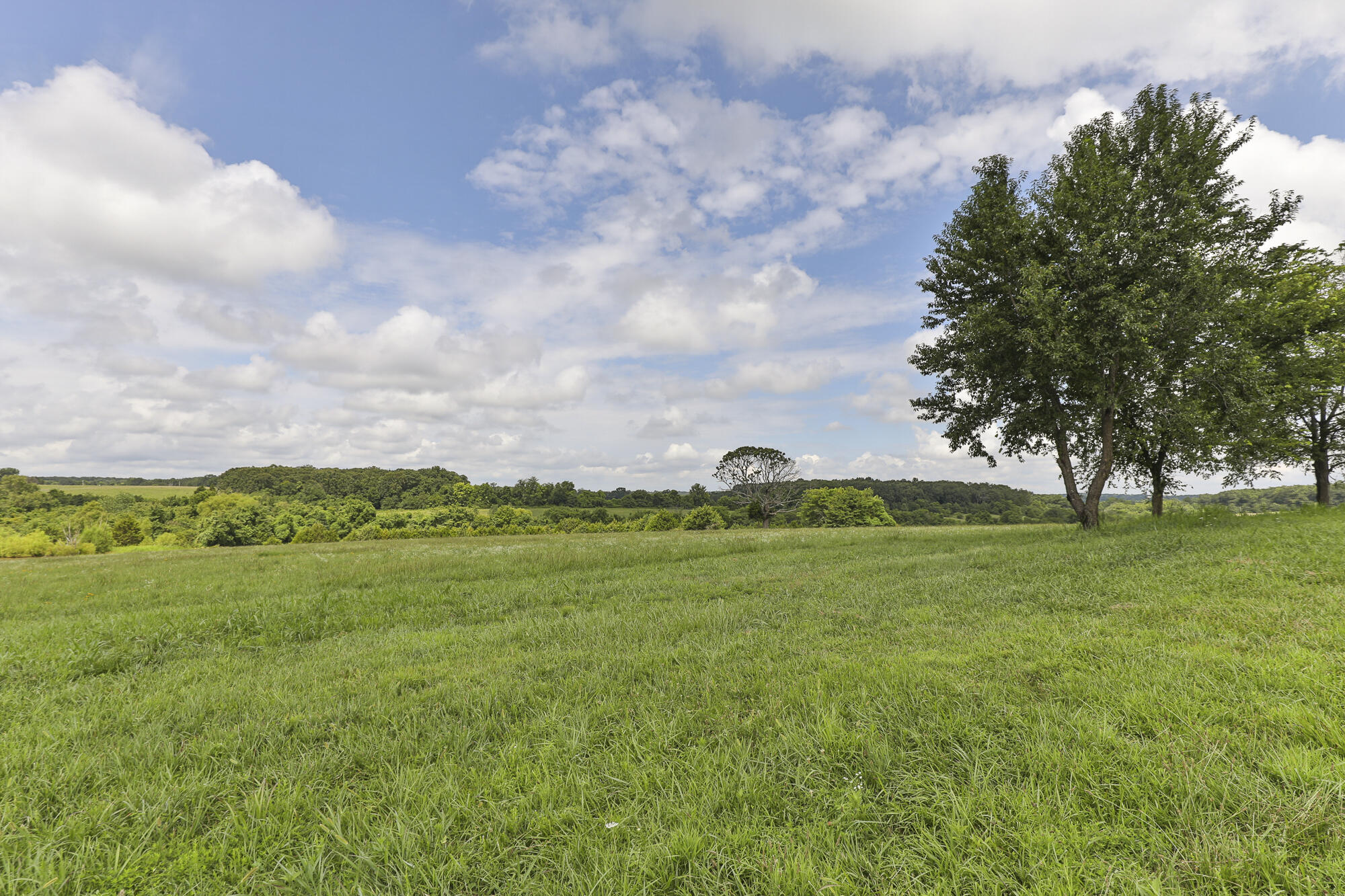 Photo 3 - Land for sale – 125  Eastgate Road  Elkland, MO