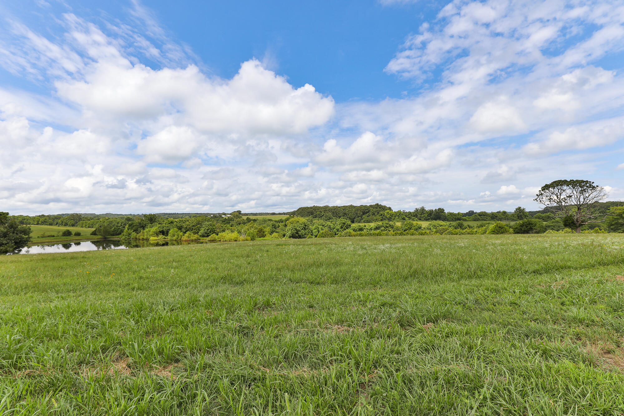 Photo 5 - Land for sale – 125  Eastgate Road  Elkland, MO