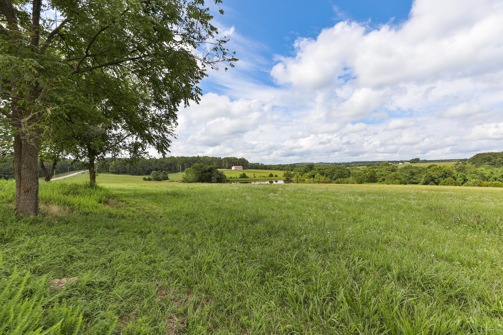 Photo 7 - Land for sale – 125  Eastgate Road  Elkland, MO