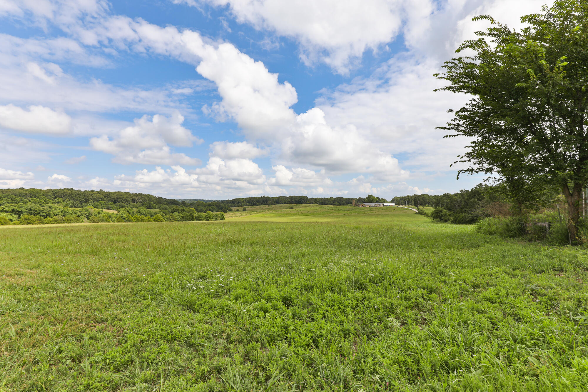 Photo 8 - Land for sale – 125  Eastgate Road  Elkland, MO