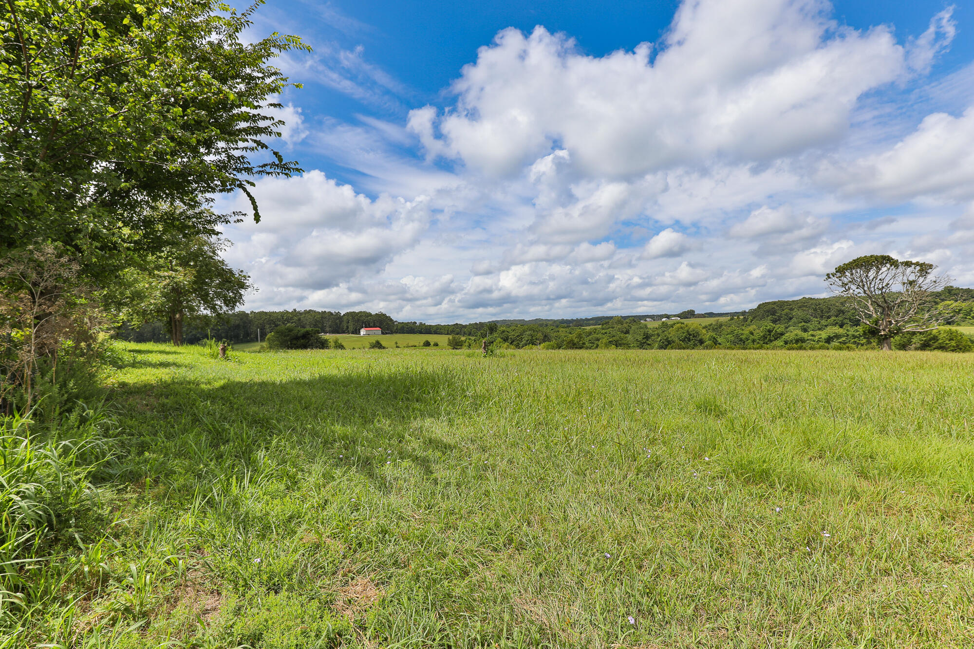 Photo 9 - Land for sale – 125  Eastgate Road  Elkland, MO