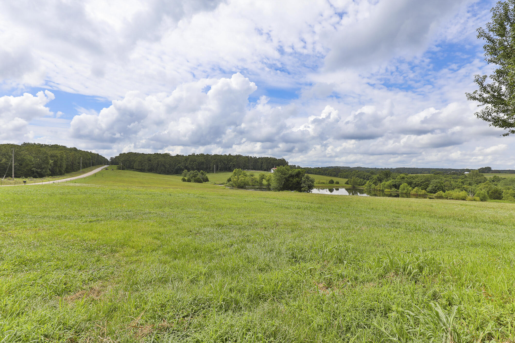 Photo 4 - Land for sale – 125  Eastgate Road  Elkland, MO