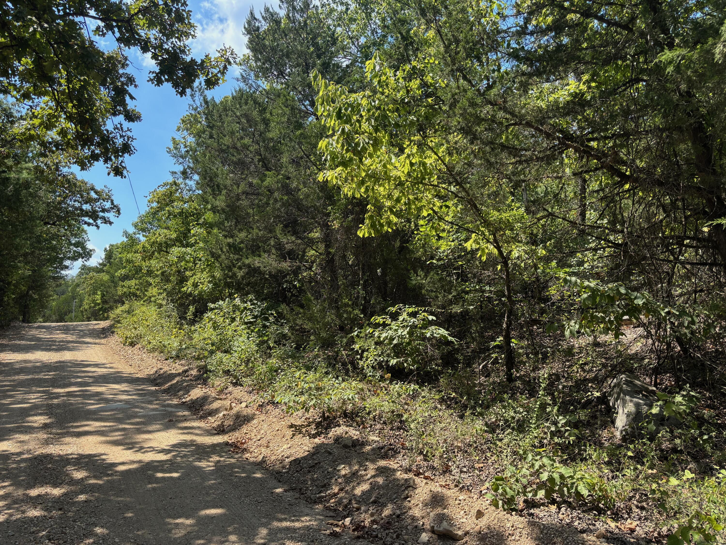 Photo 5 - Land for sale – Tract 1  Little Woods Road  Elizabeth, AR