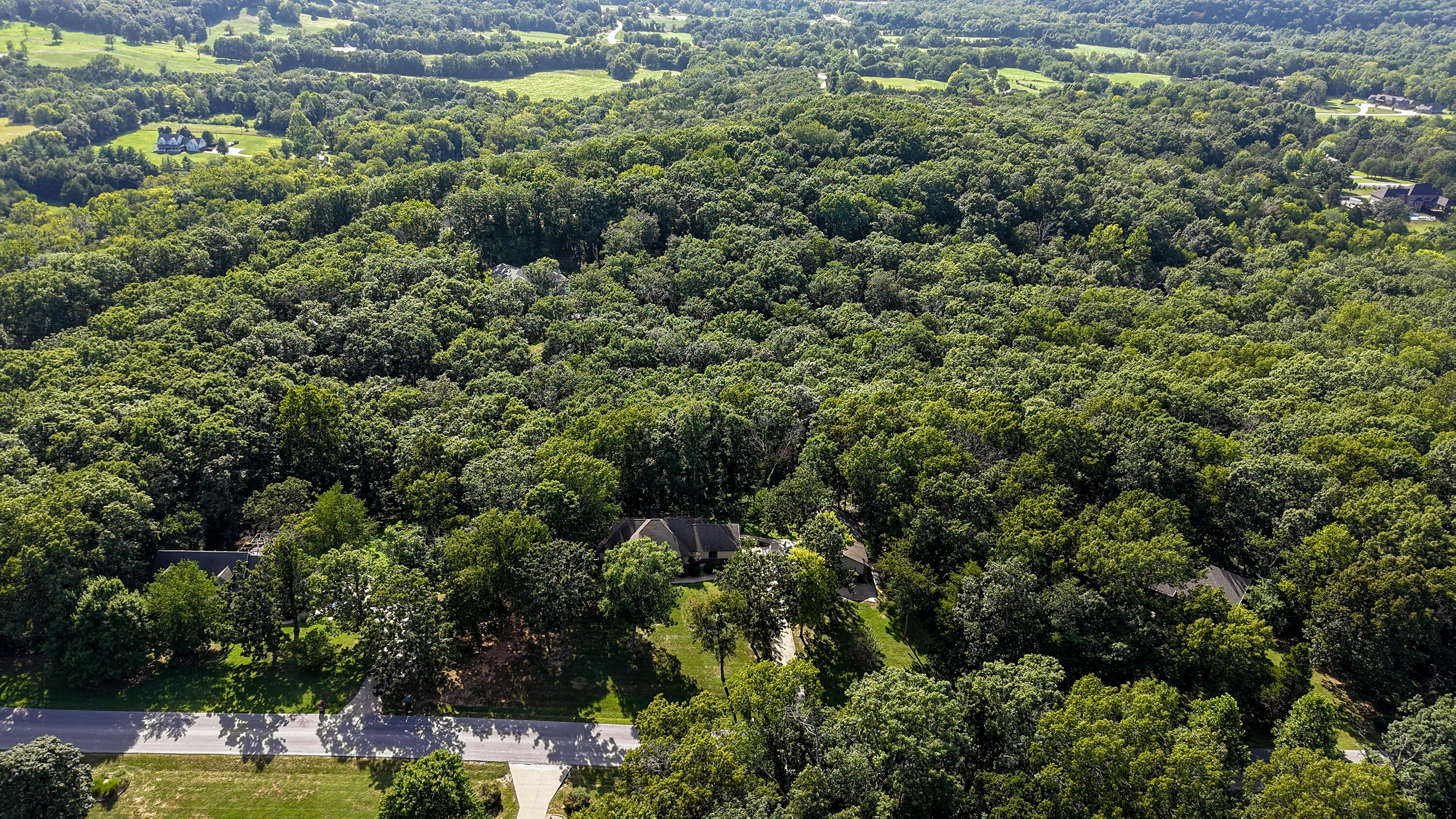Photo 5 - Residential for sale – 995 S Stanford Drive  Rogersville, MO