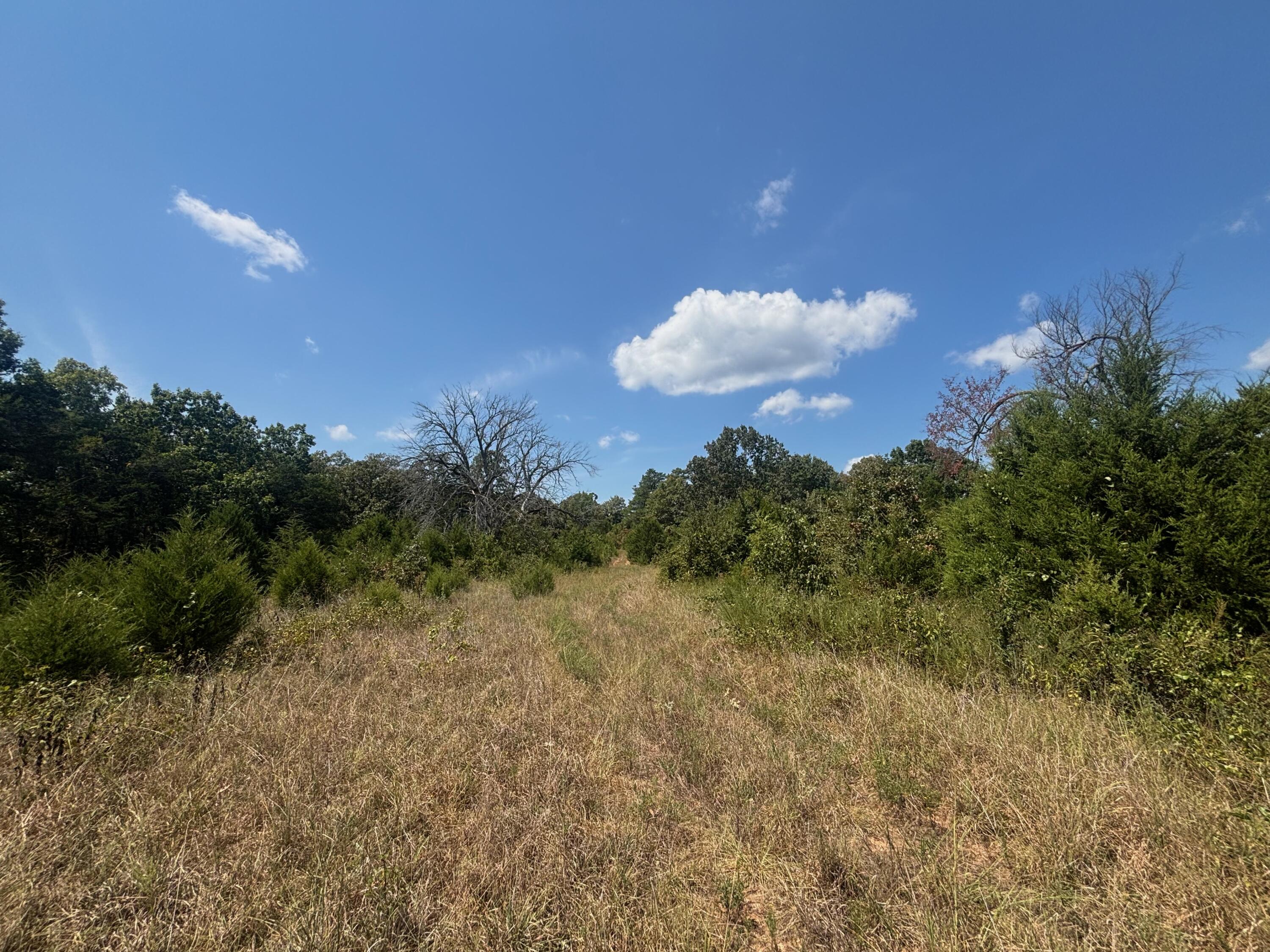 Photo 22 - Land for sale – Tract 2  Little Woods Road  Elizabeth, AR