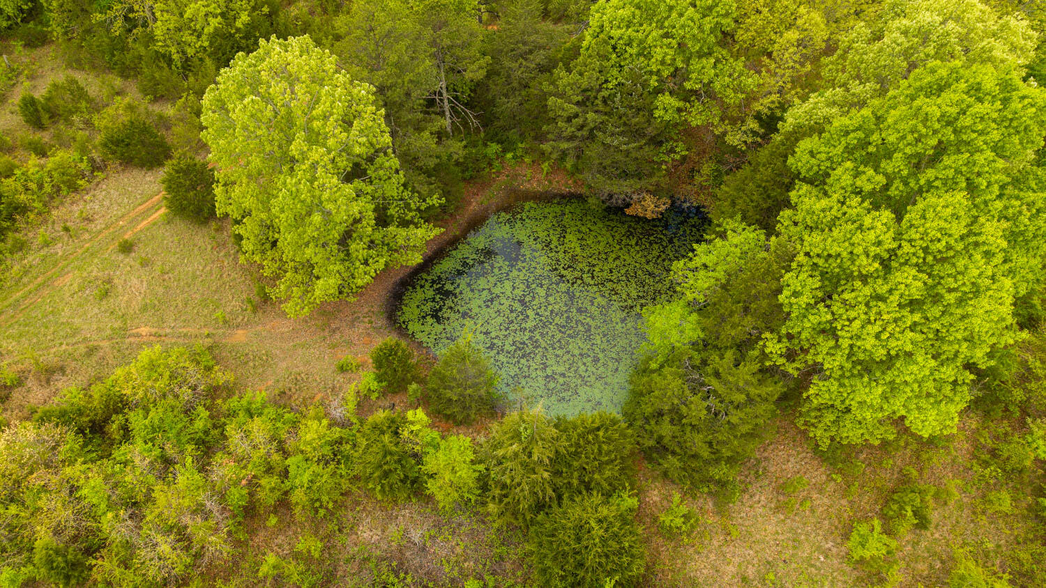 Photo 6 - Land for sale – Tract 2  Little Woods Road  Elizabeth, AR