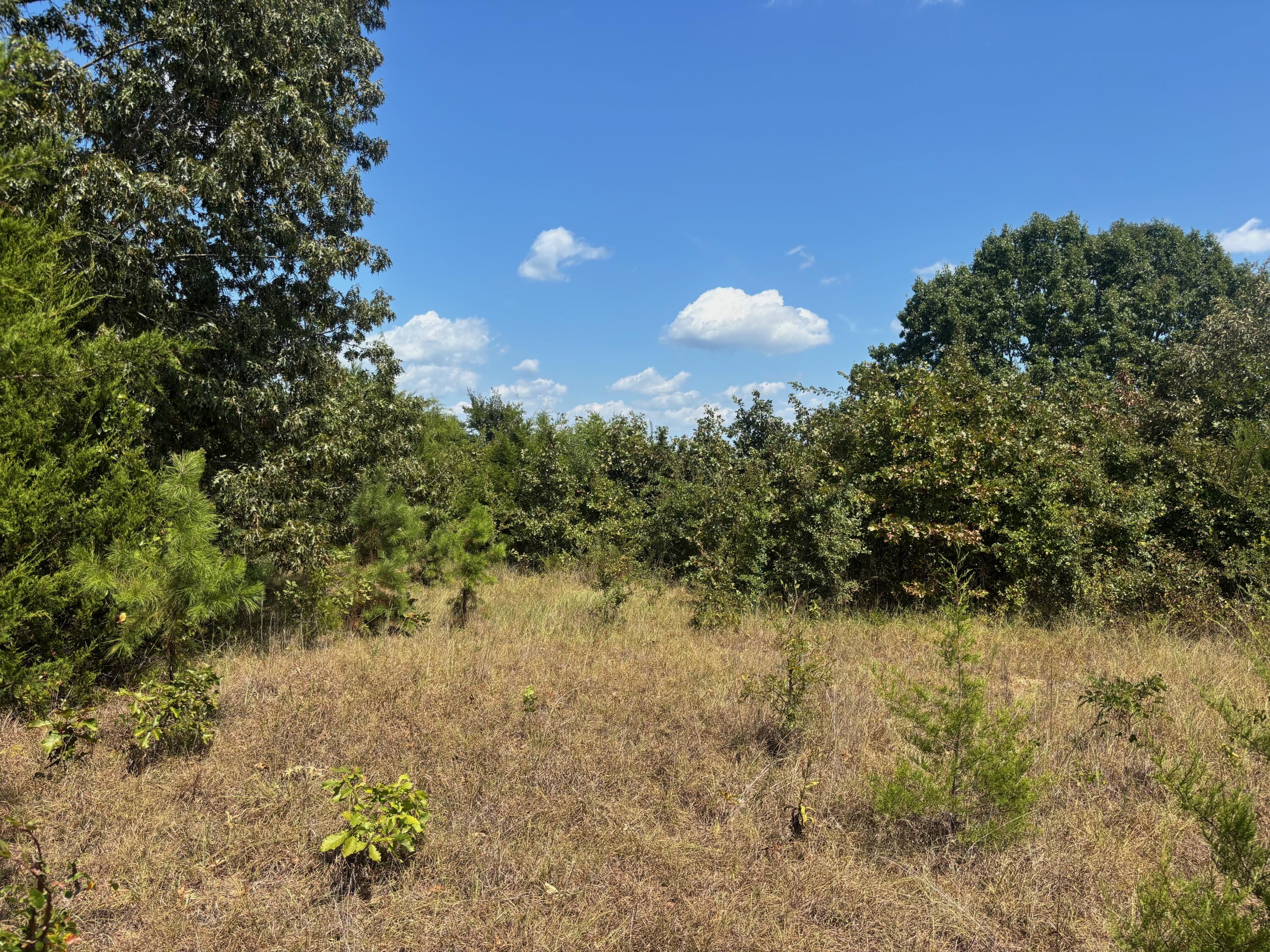 Photo 19 - Land for sale – Tract 2  Little Woods Road  Elizabeth, AR