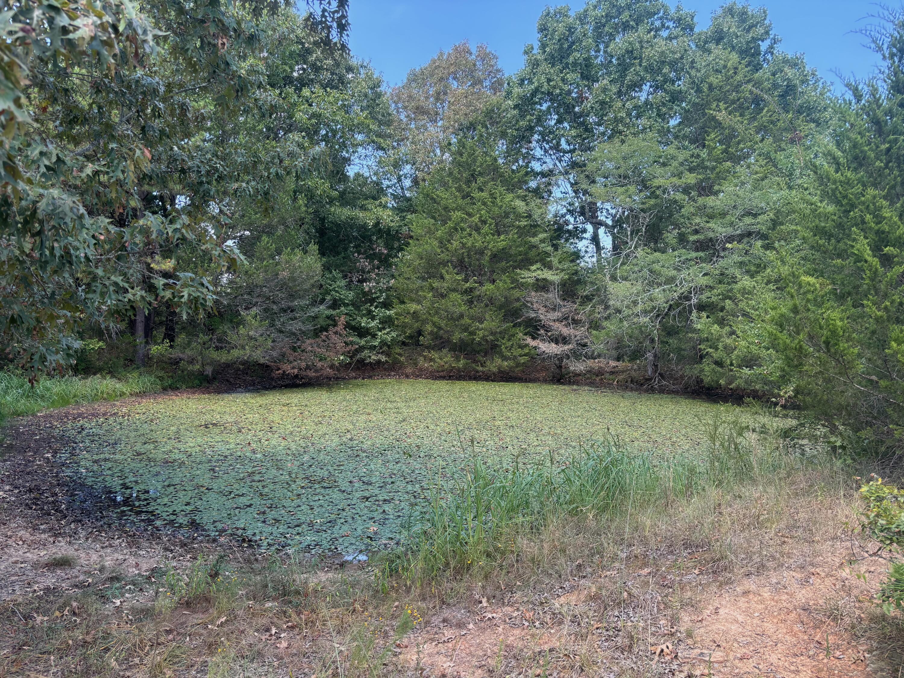 Photo 20 - Land for sale – Tract 2  Little Woods Road  Elizabeth, AR