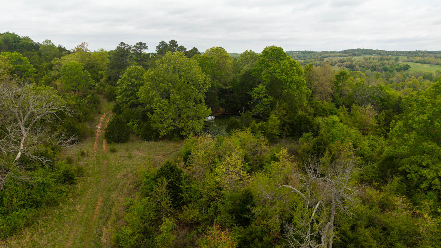 Photo 10 - Land for sale – Tract 2  Little Woods Road  Elizabeth, AR
