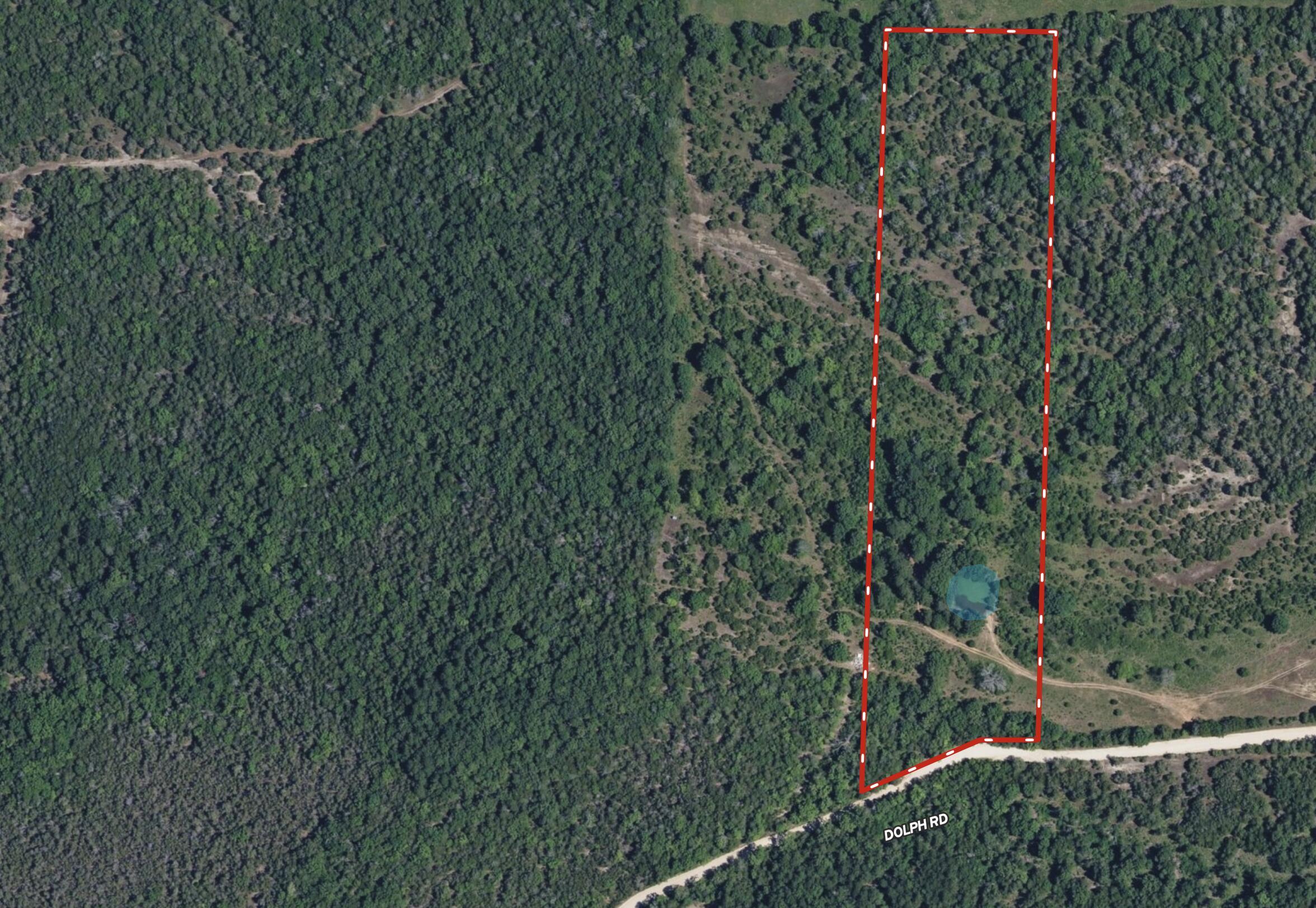 Photo 2 - Land for sale – Tract 2  Little Woods Road  Elizabeth, AR