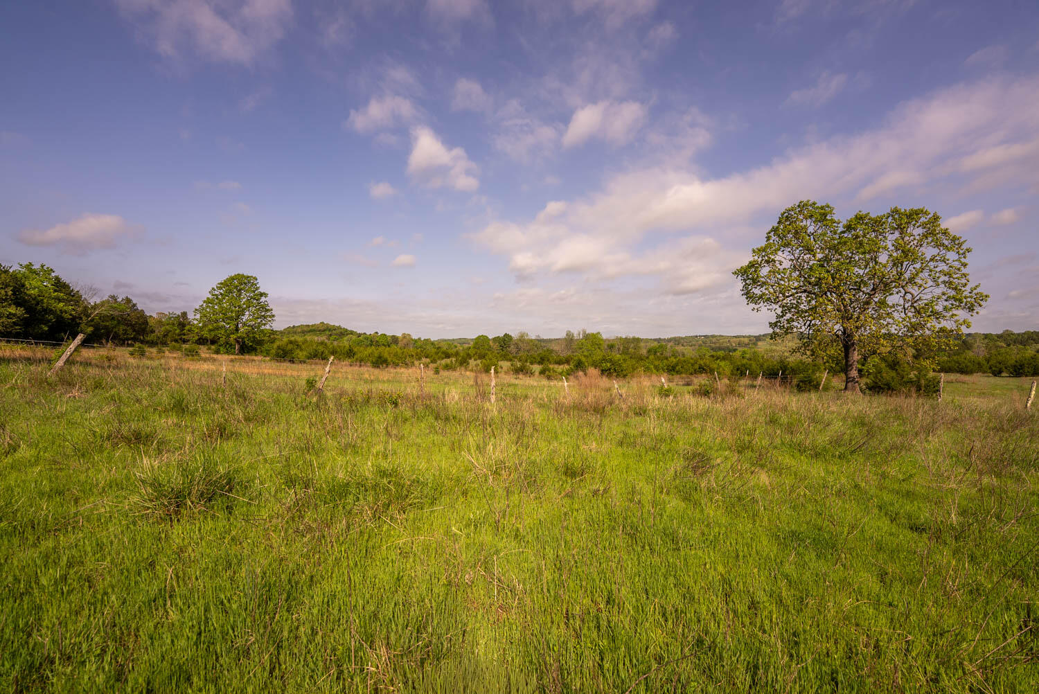Land for sale – Tract 2  Little Woods Road  Elizabeth, AR