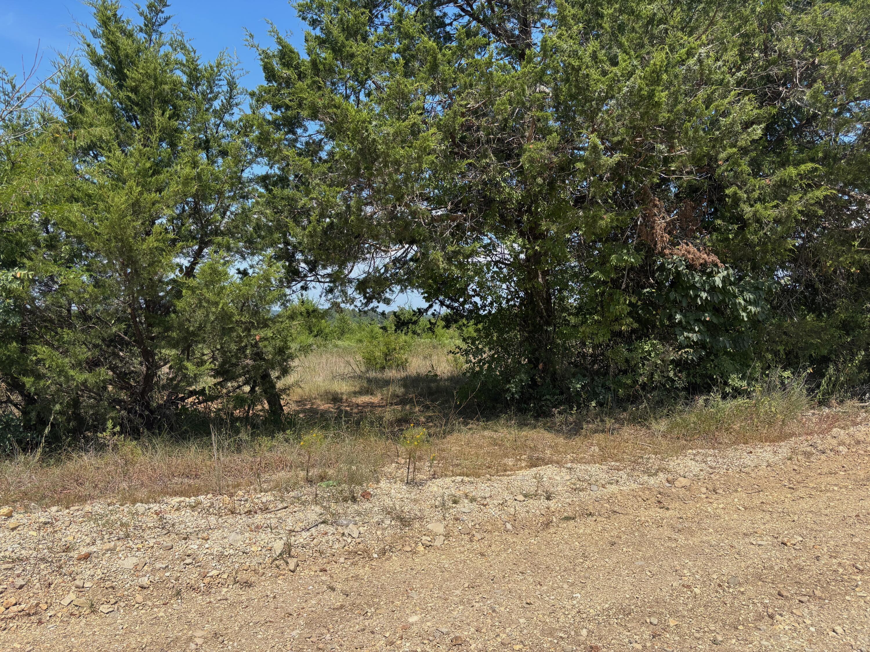 Photo 9 - Land for sale – Tract 3  Little Woods Road  Elizabeth, AR