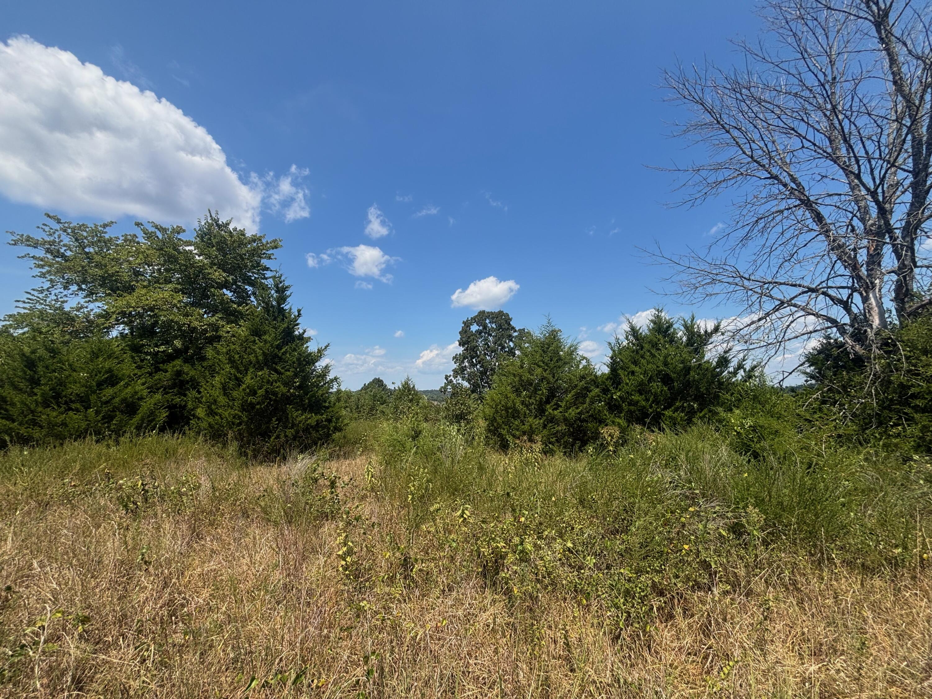 Photo 5 - Land for sale – Tract 3  Little Woods Road  Elizabeth, AR