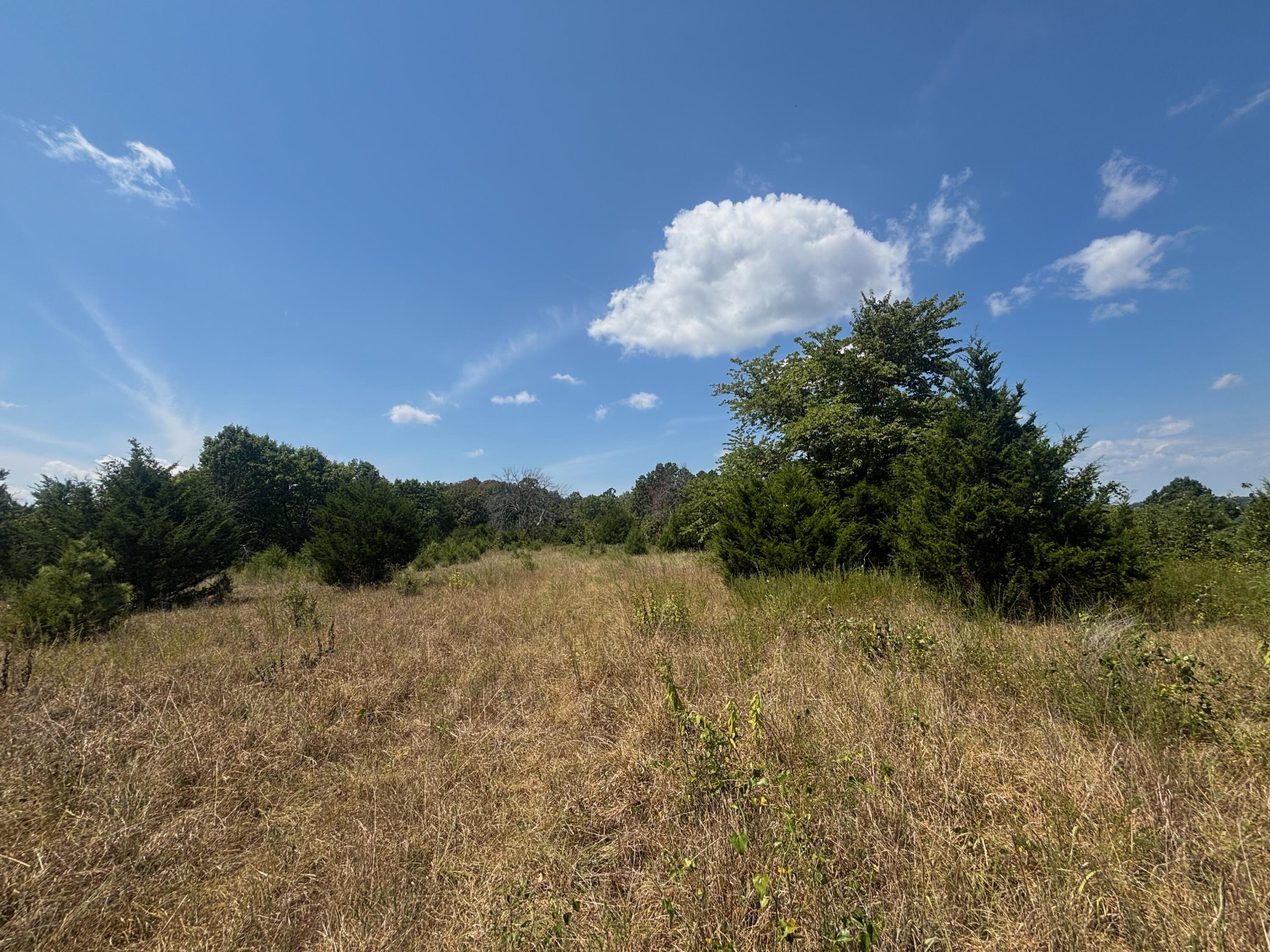 Photo 7 - Land for sale – Tract 3  Little Woods Road  Elizabeth, AR