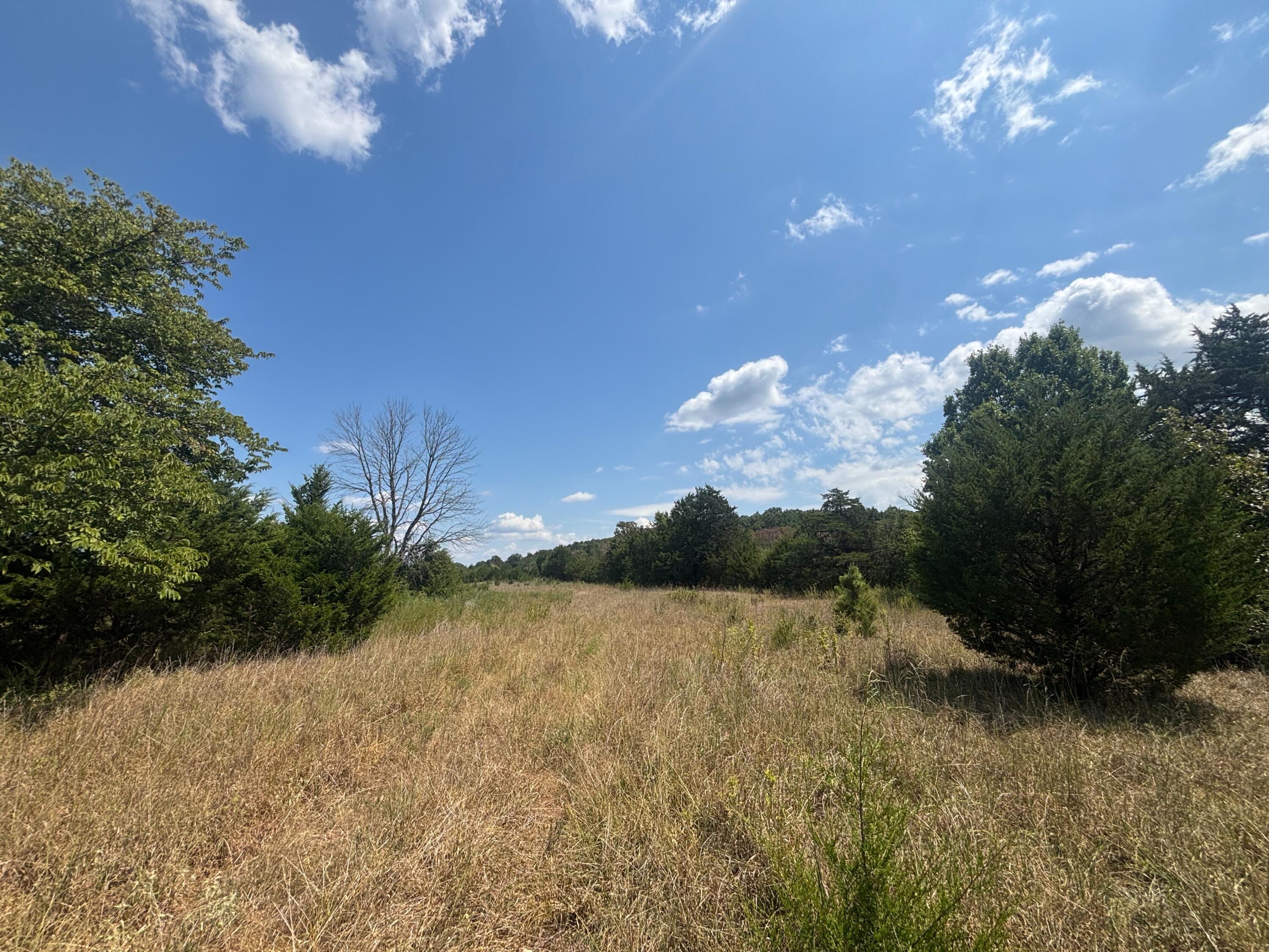 Photo 3 - Land for sale – Tract 3  Little Woods Road  Elizabeth, AR