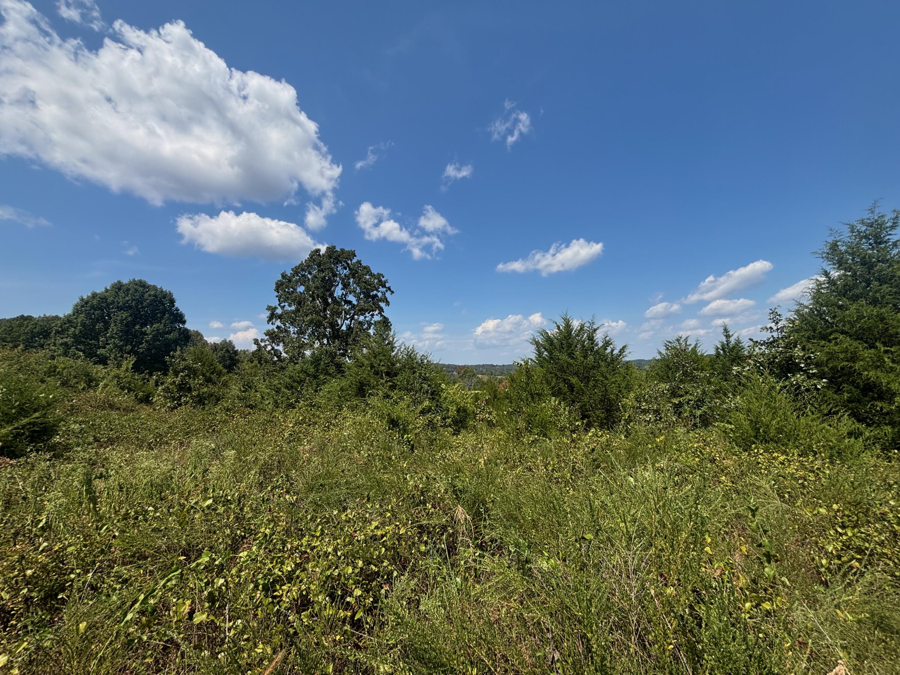 Photo 6 - Land for sale – Tract 3  Little Woods Road  Elizabeth, AR