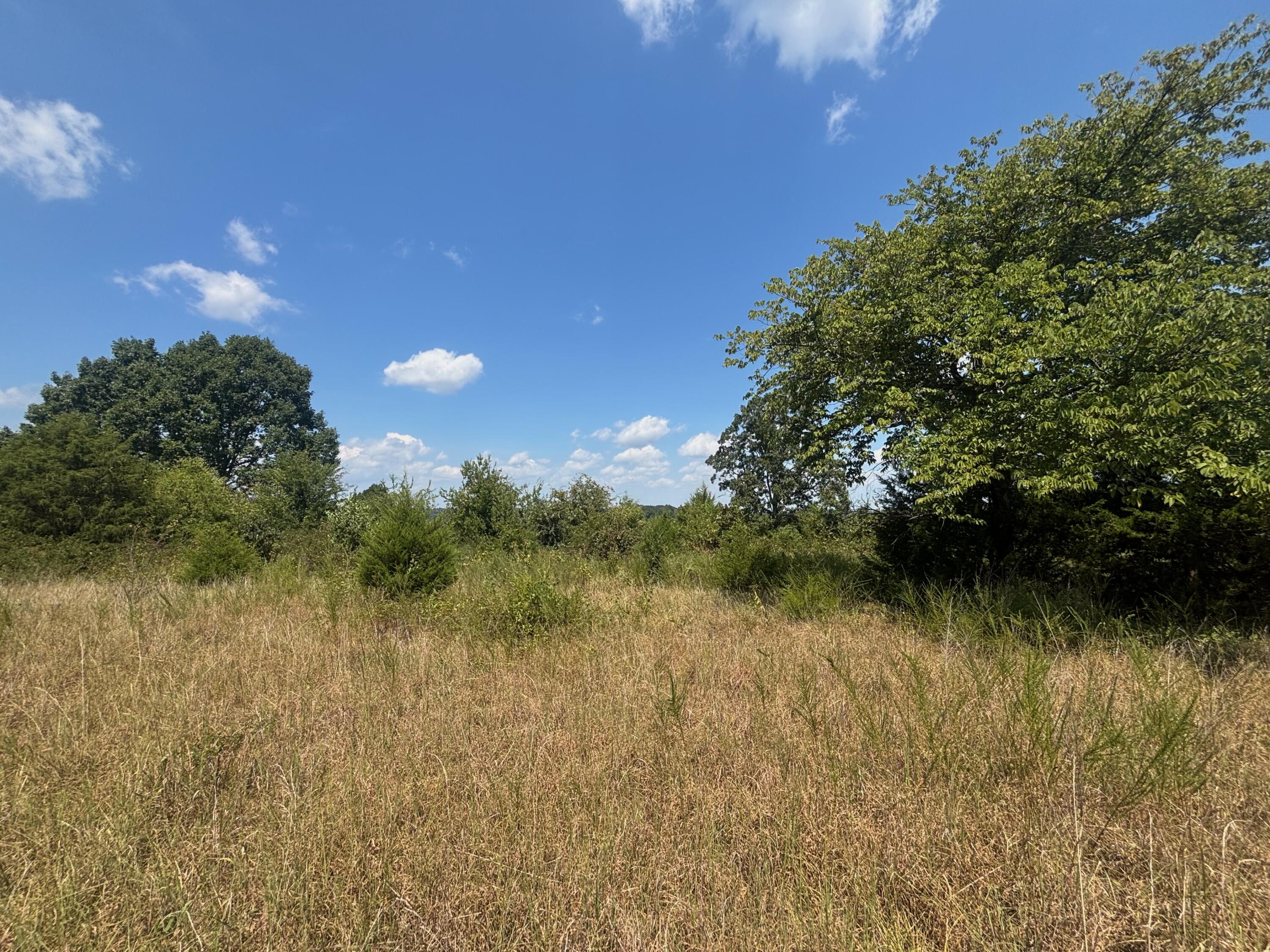 Photo 10 - Land for sale – Tract 3  Little Woods Road  Elizabeth, AR
