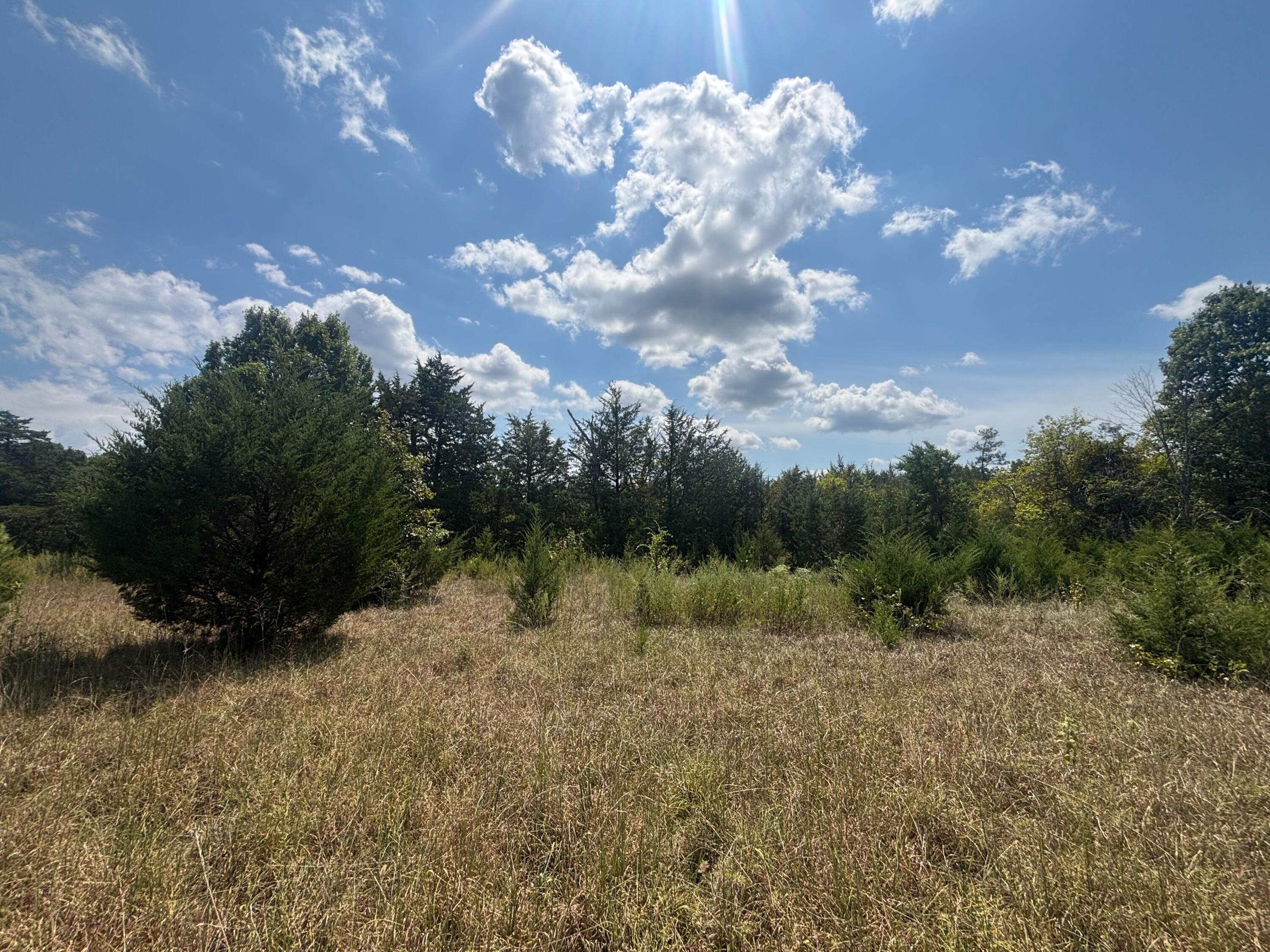 Photo 4 - Land for sale – Tract 3  Little Woods Road  Elizabeth, AR