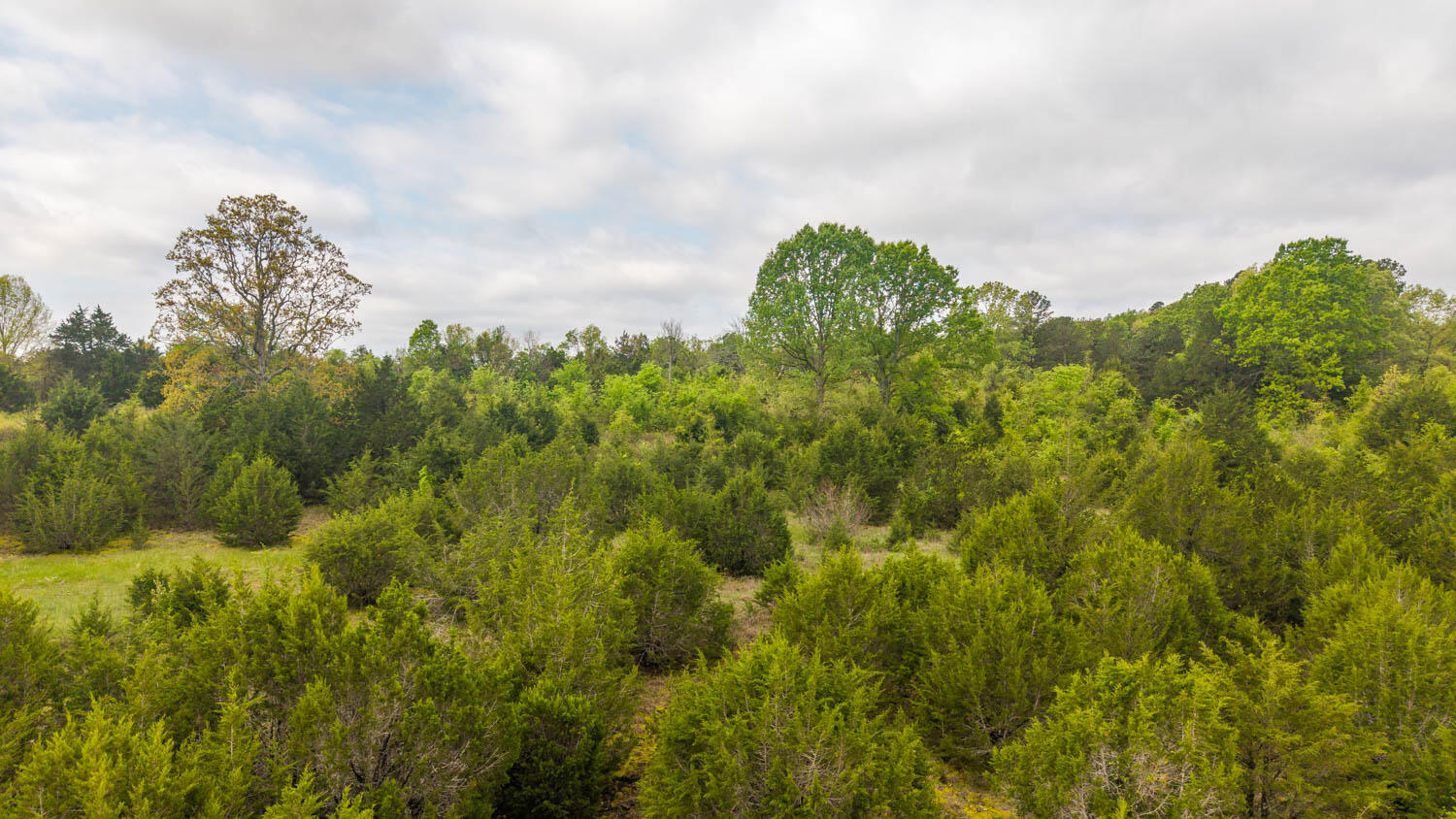 Photo 20 - Land for sale – Tract 3  Little Woods Road  Elizabeth, AR