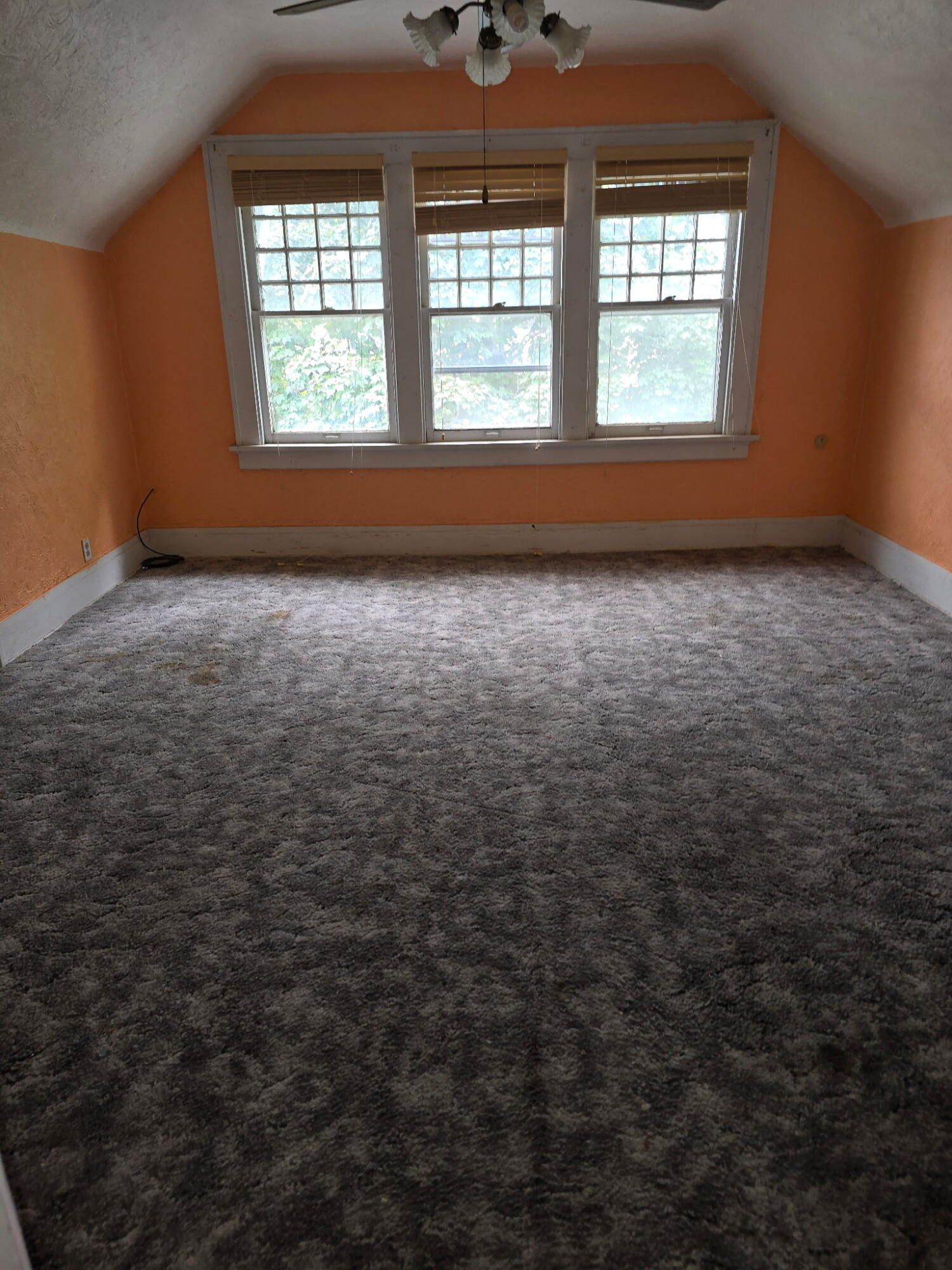 Photo 7 - Residential for sale – 115 N Locust Street  Buffalo, MO