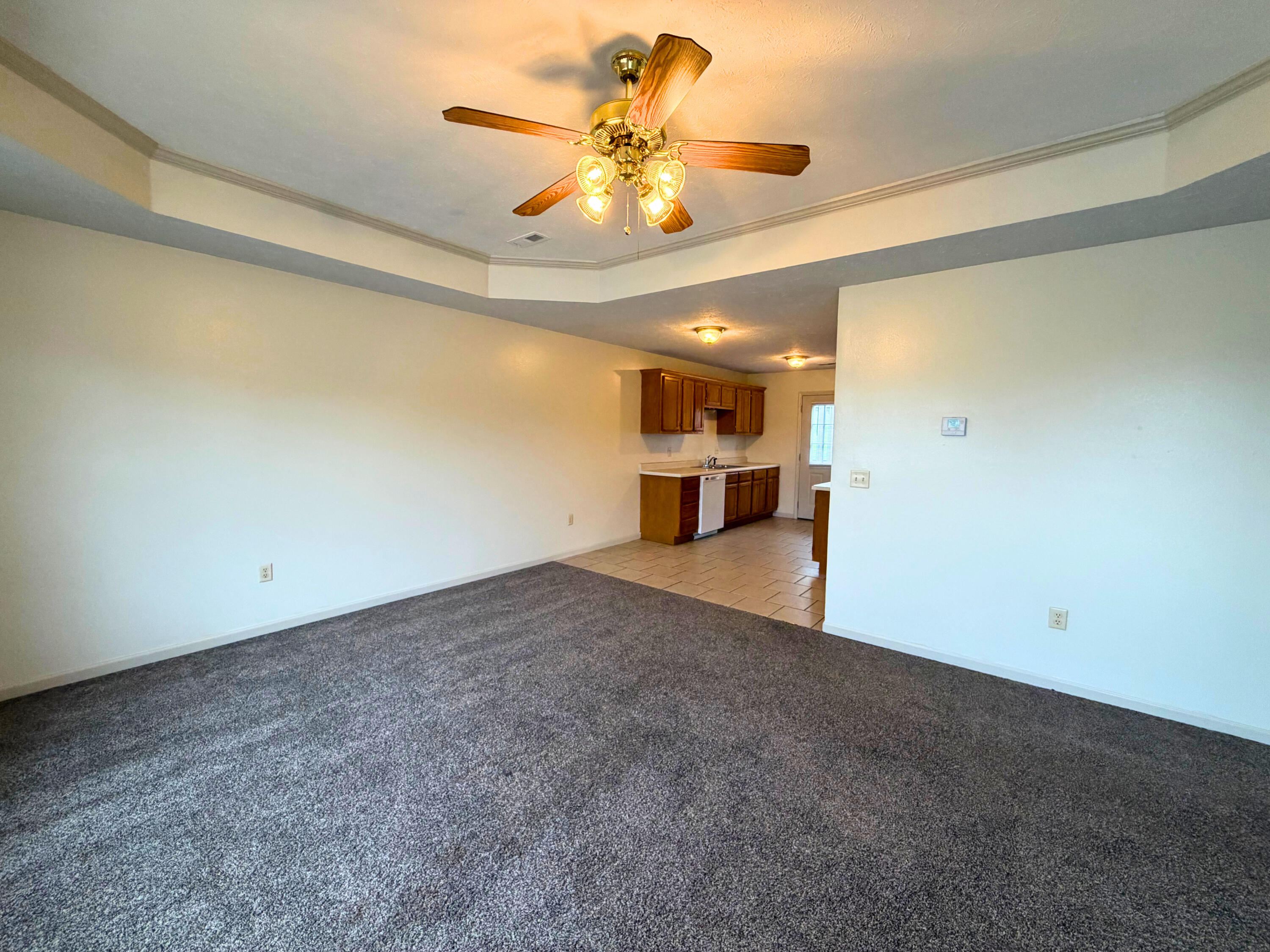 Photo 4 - Residential Income for sale – 1860-70-80 S Pike Avenue  Bolivar, MO
