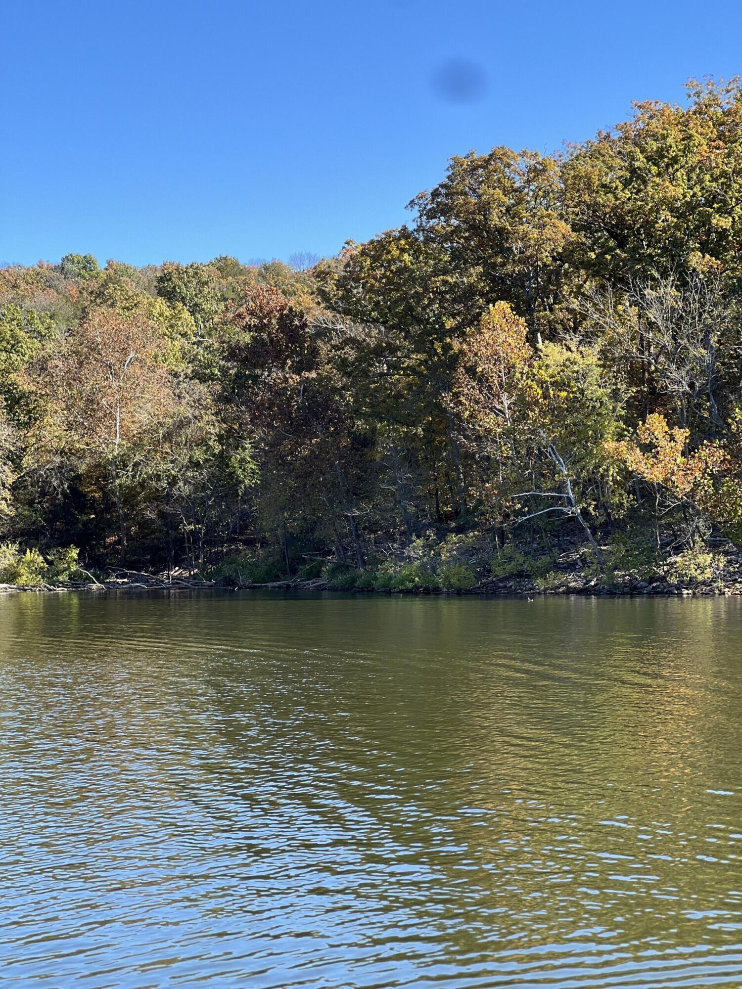 Photo 5 - Land for sale – Lot 1 A  Fox Fire Lane Lane  Shell Knob, MO