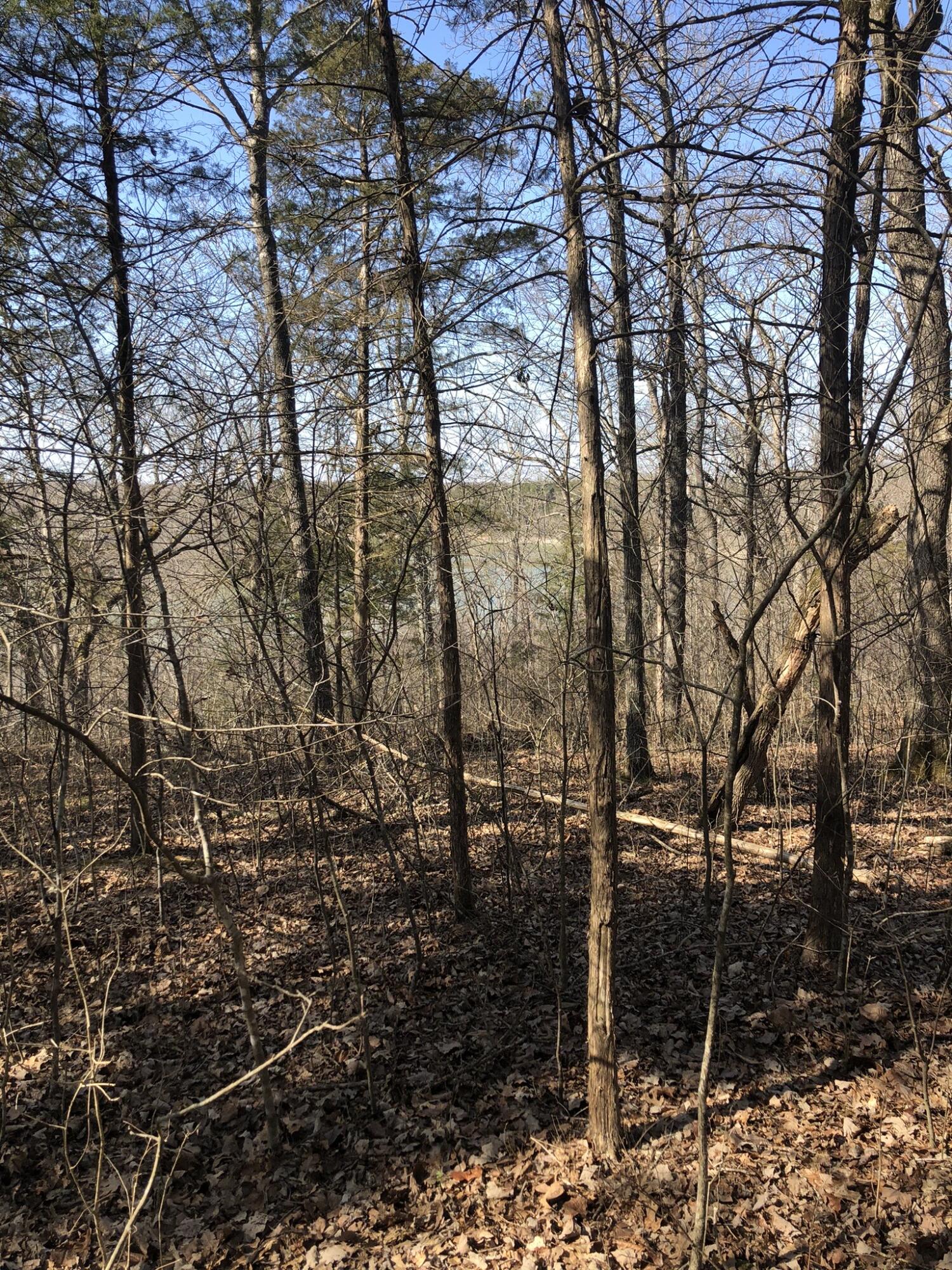 Photo 11 - Land for sale – Lot 1 A  Fox Fire Lane Lane  Shell Knob, MO