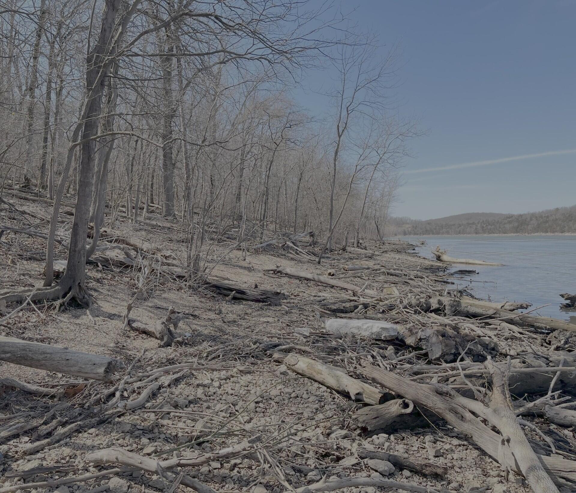Photo 12 - Land for sale – Lot 1 A  Fox Fire Lane Lane  Shell Knob, MO