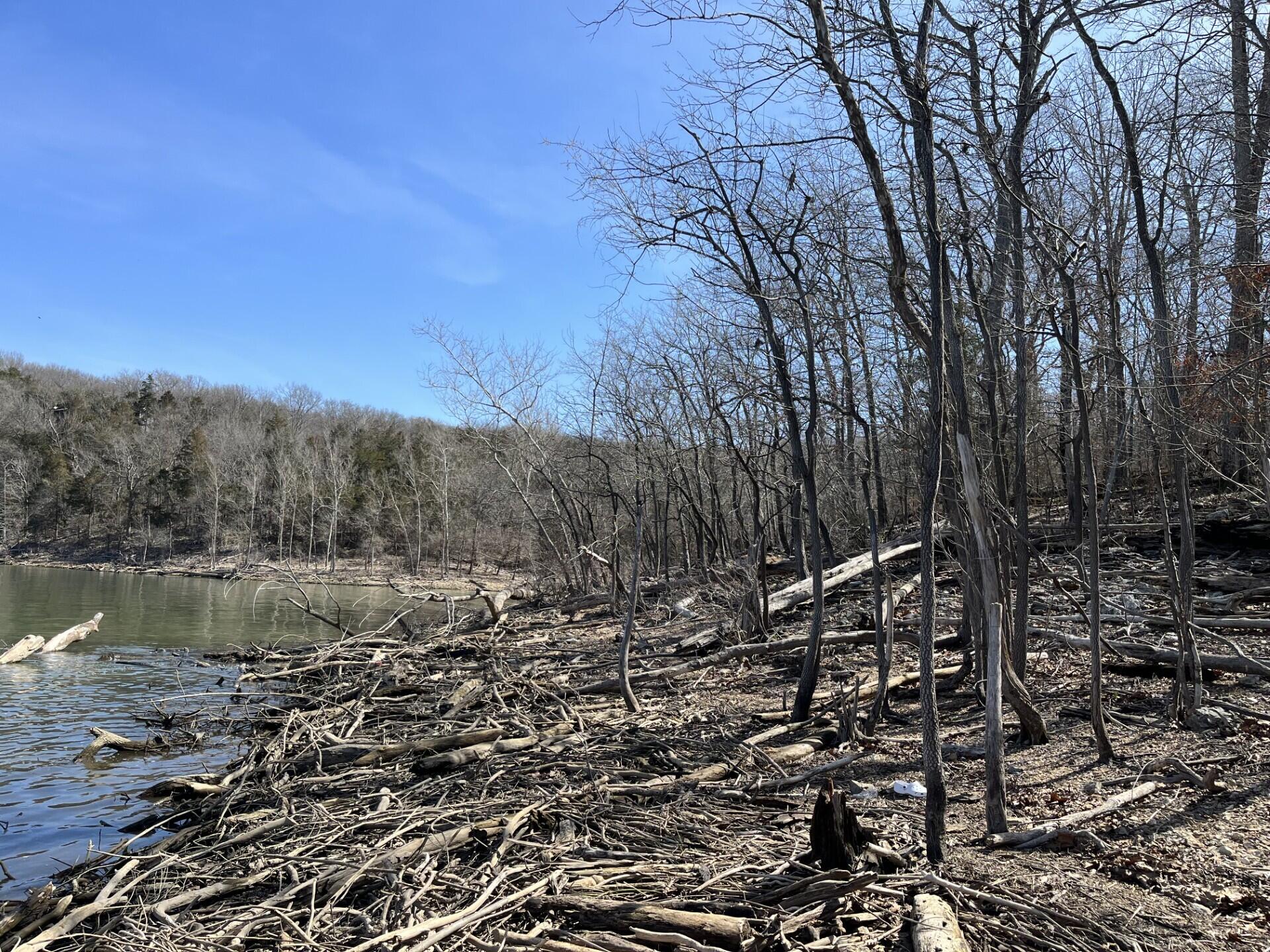 Photo 10 - Land for sale – Lot 1 A  Fox Fire Lane Lane  Shell Knob, MO