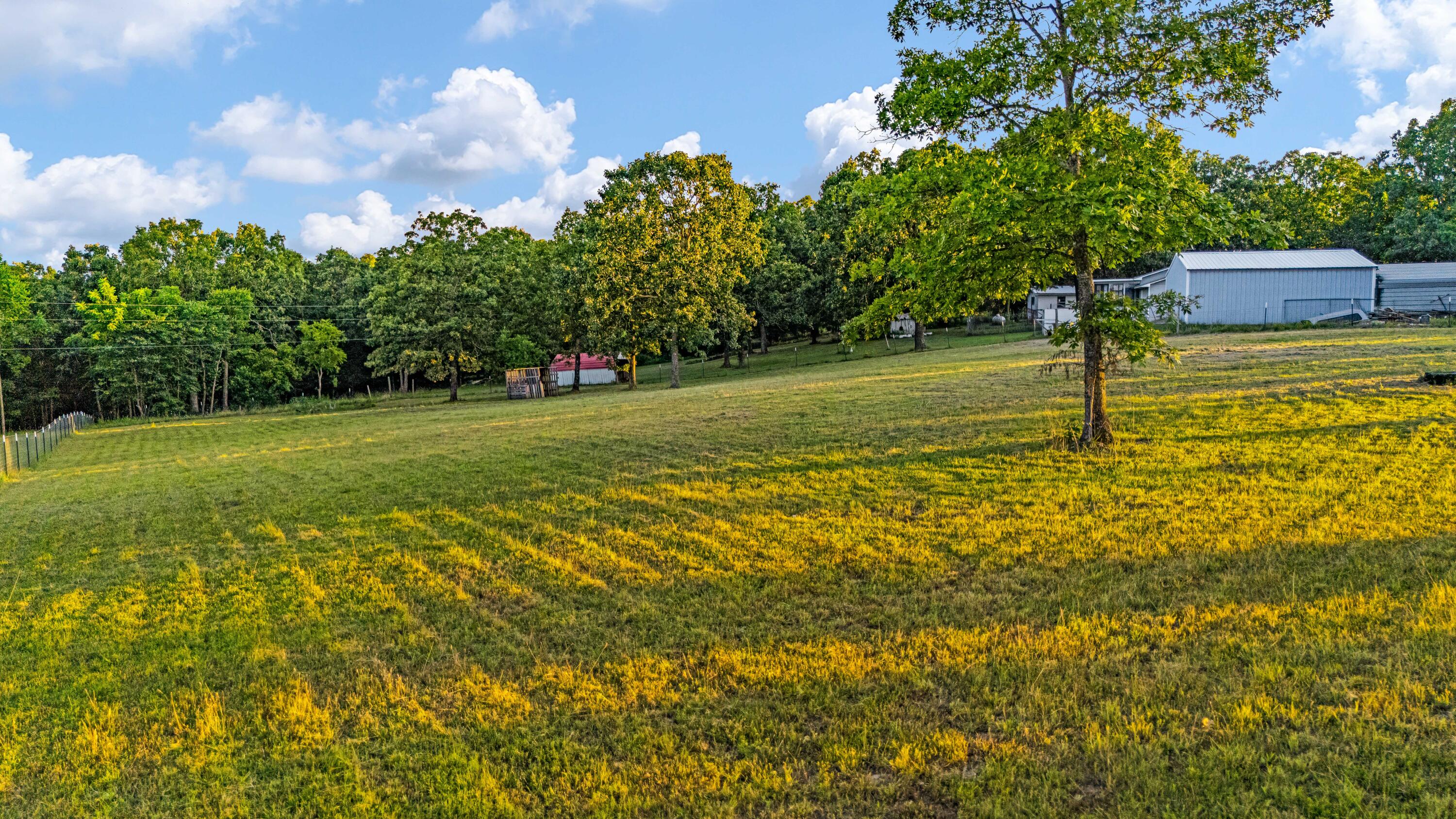 Photo 9 - Residential for sale – 17883  County Road 522   Gainesville, MO