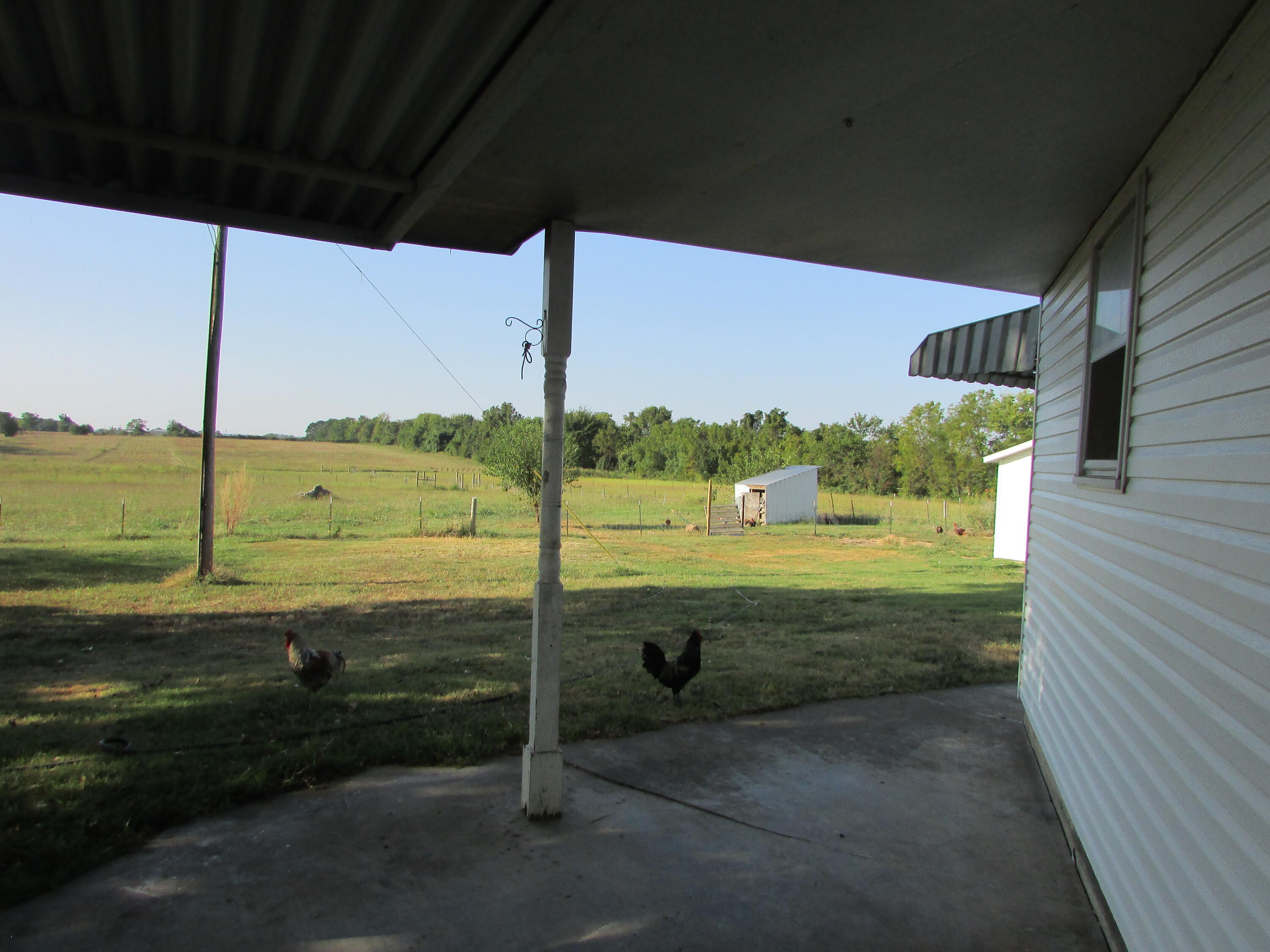 Photo 8 - Residential for sale – 3250 E Hines Street  Republic, MO