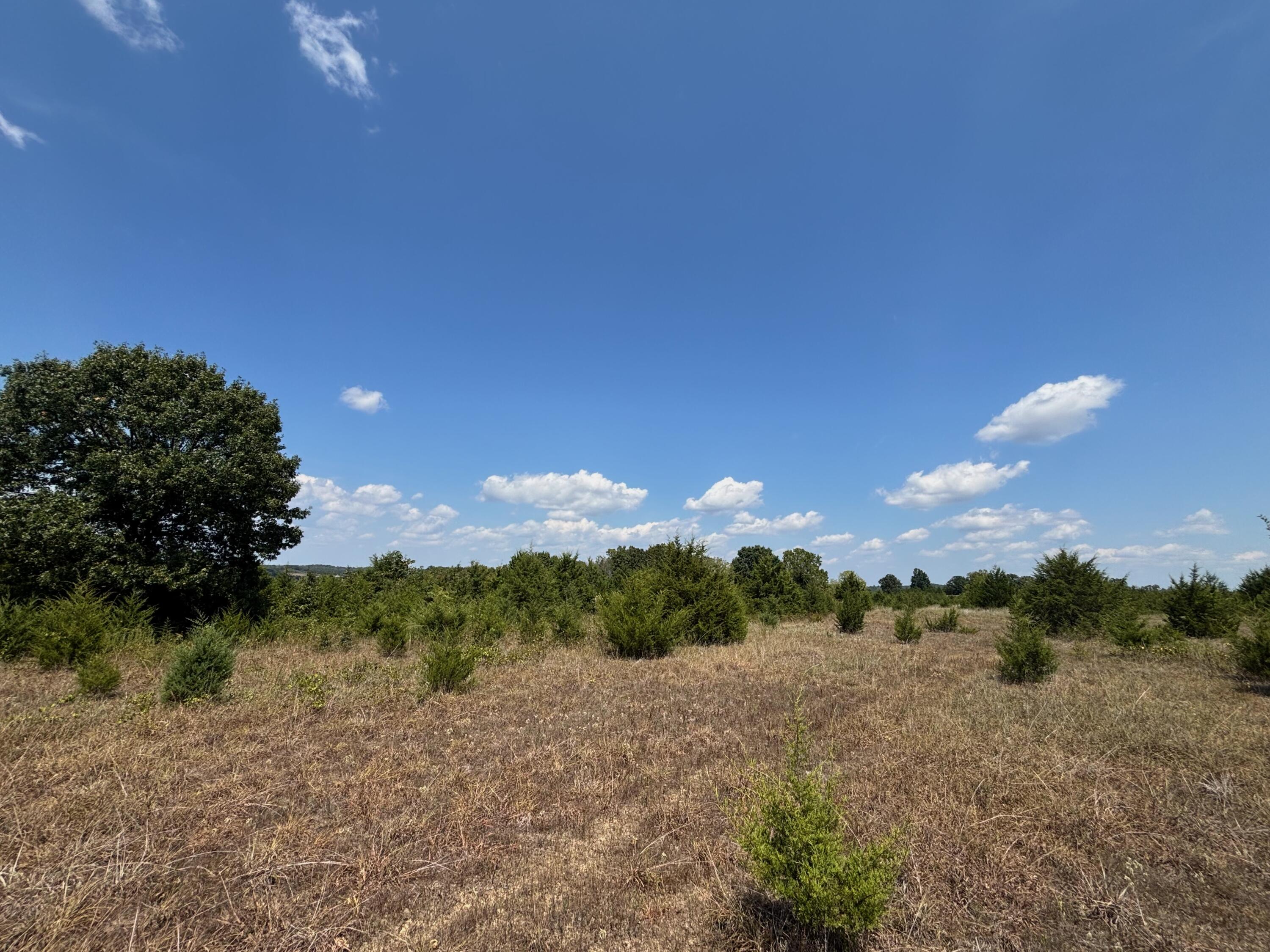 Photo 18 - Land for sale – Tract 4  Little Woods Road  Elizabeth, AR