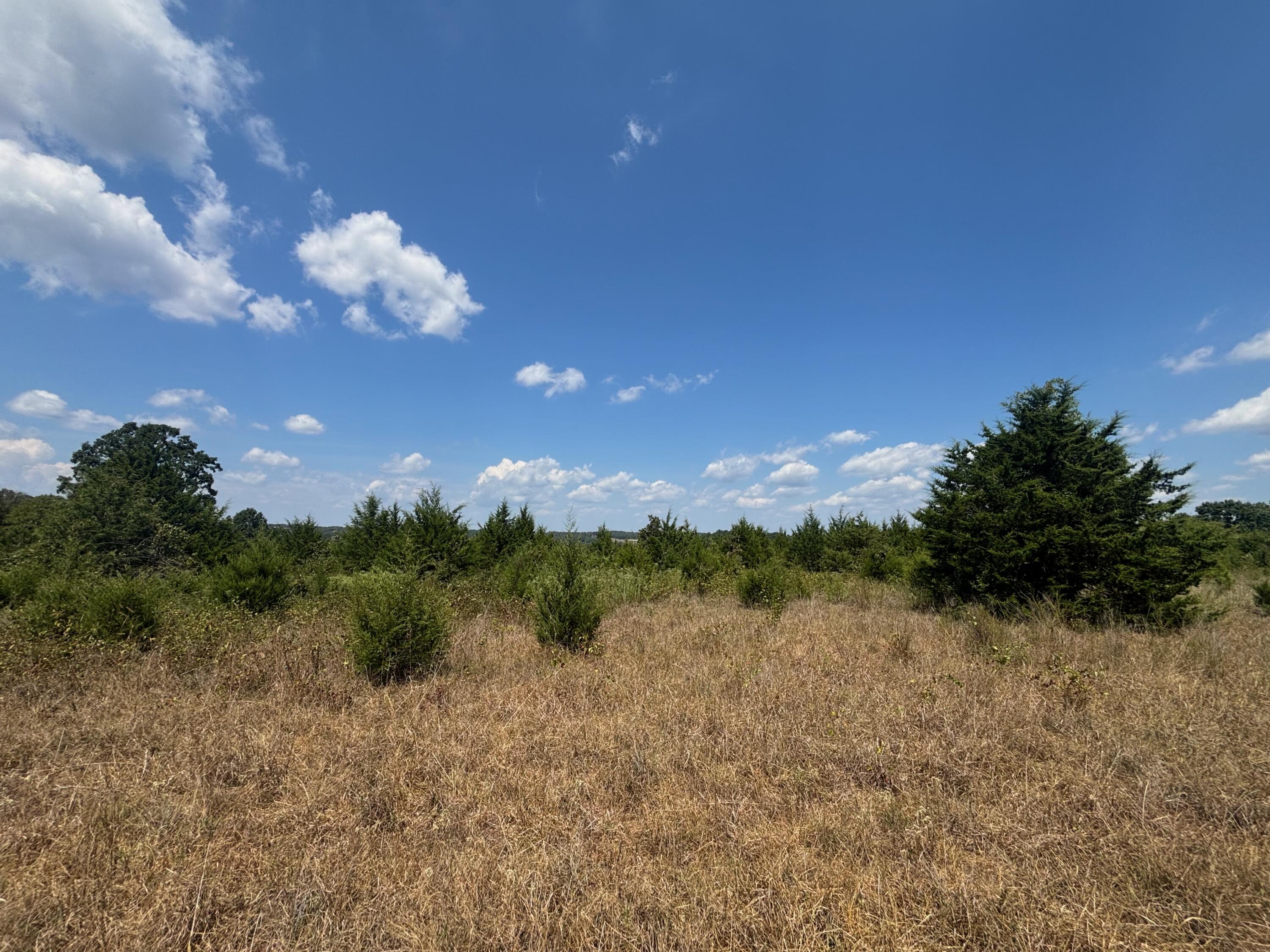 Photo 17 - Land for sale – Tract 4  Little Woods Road  Elizabeth, AR