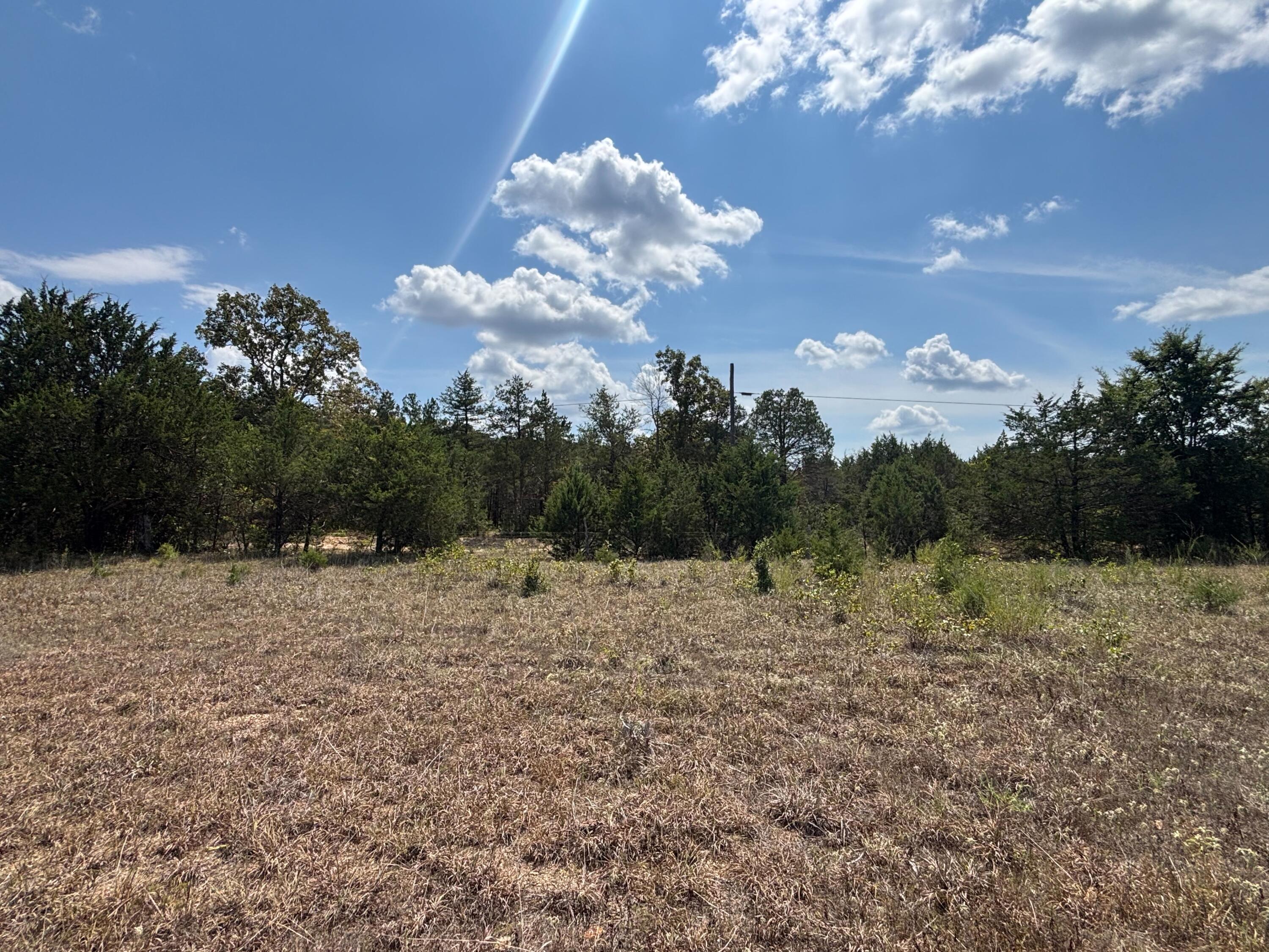 Photo 19 - Land for sale – Tract 4  Little Woods Road  Elizabeth, AR