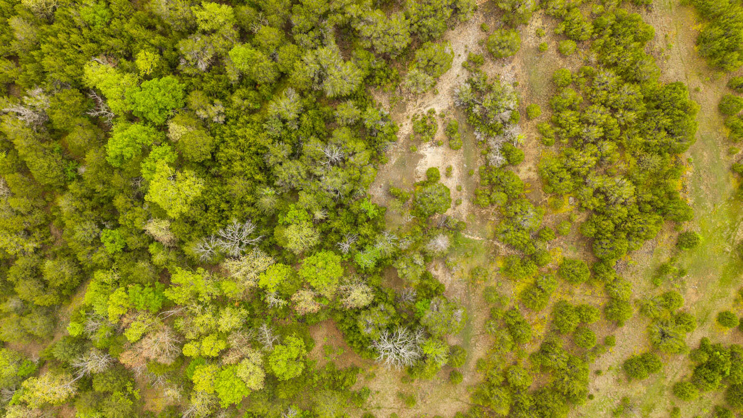 Photo 5 - Land for sale – Tract 4  Little Woods Road  Elizabeth, AR