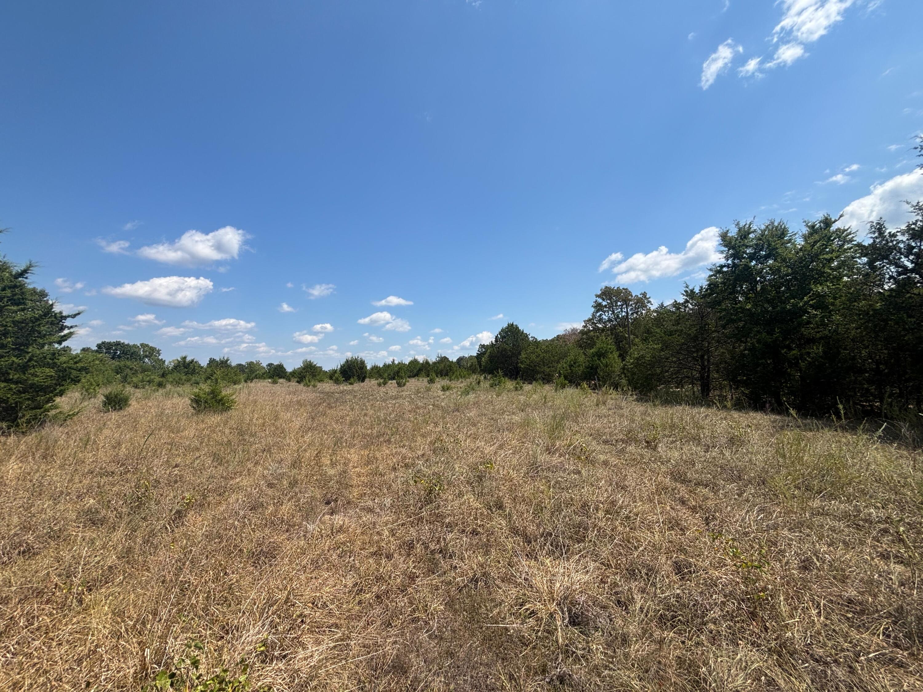 Photo 16 - Land for sale – Tract 4  Little Woods Road  Elizabeth, AR
