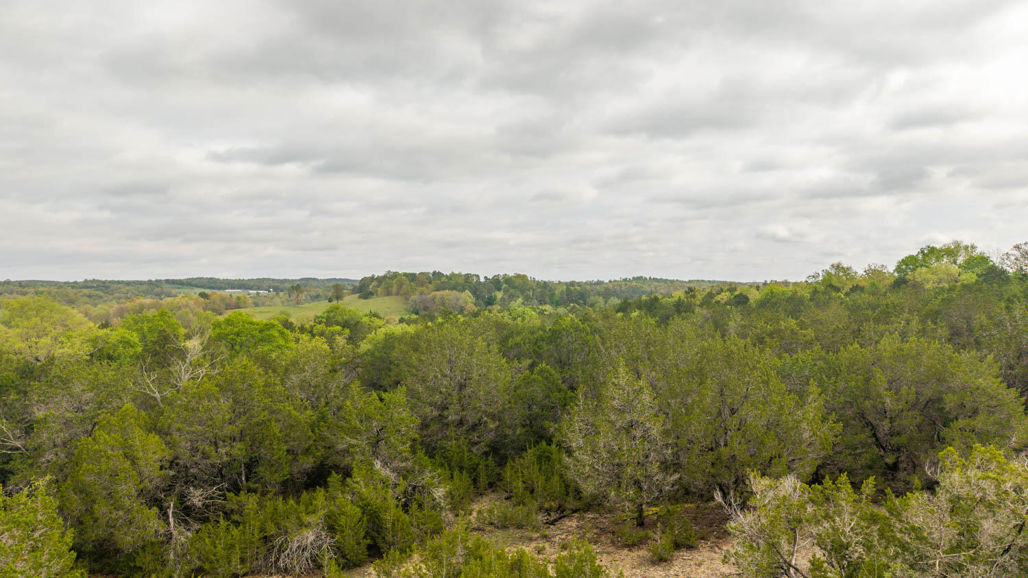 Photo 7 - Land for sale – Tract 4  Little Woods Road  Elizabeth, AR