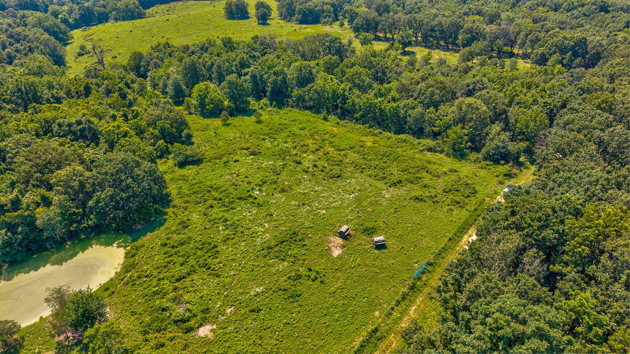 Photo 15 - Land for sale – Tbd - A  State Highway 174   Mt Vernon, MO