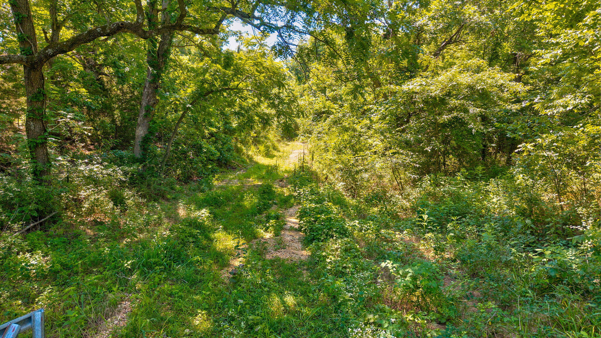 Photo 14 - Land for sale – Tbd - A  State Highway 174   Mt Vernon, MO