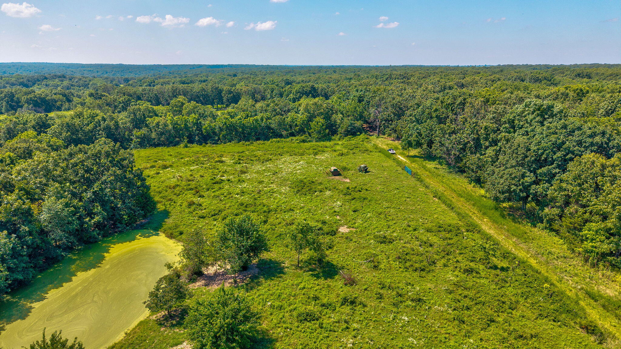 Photo 2 - Land for sale – Tbd - A  State Highway 174   Mt Vernon, MO