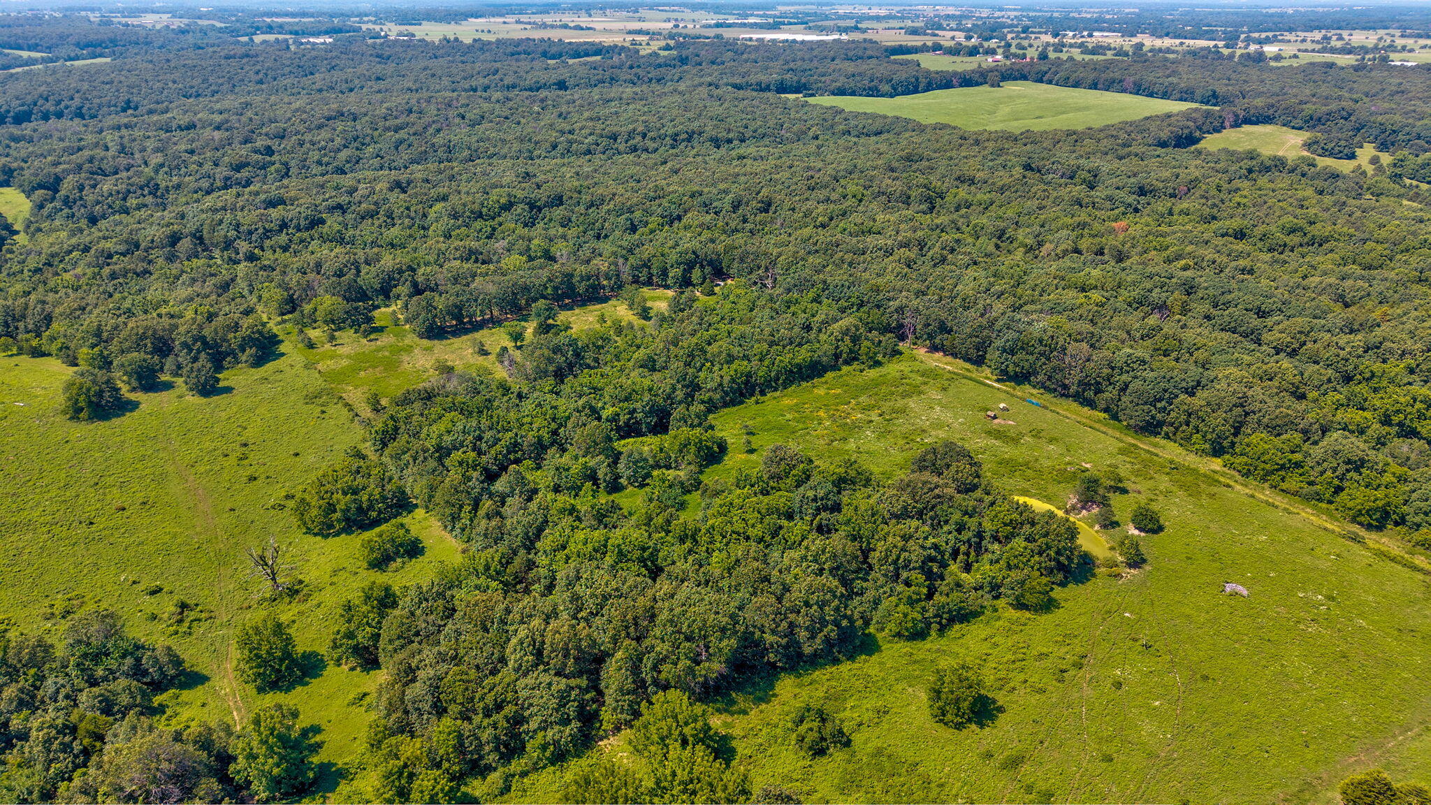 Photo 13 - Land for sale – Tbd - A  State Highway 174   Mt Vernon, MO